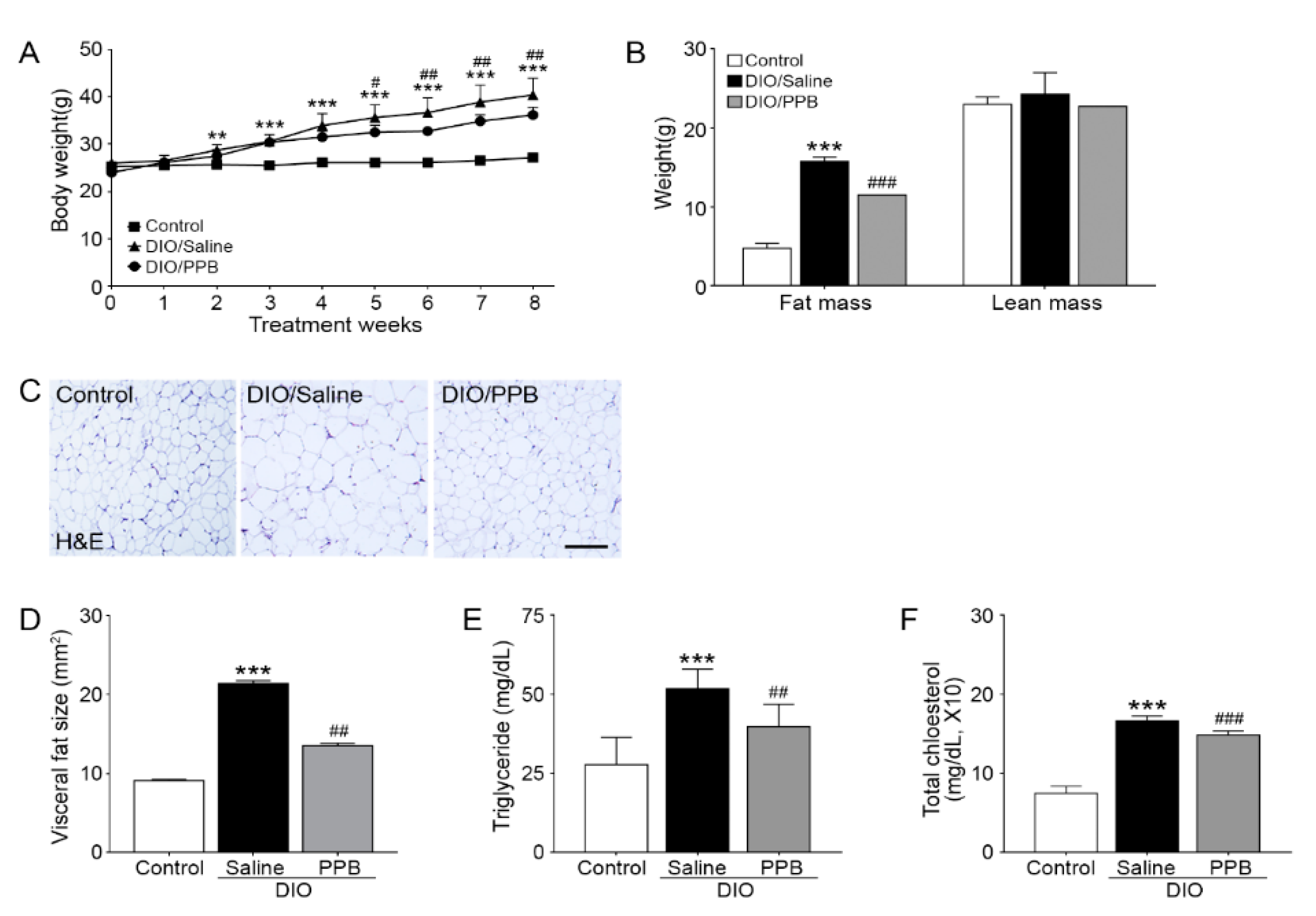 Marinedrugs 17 00612 g001
