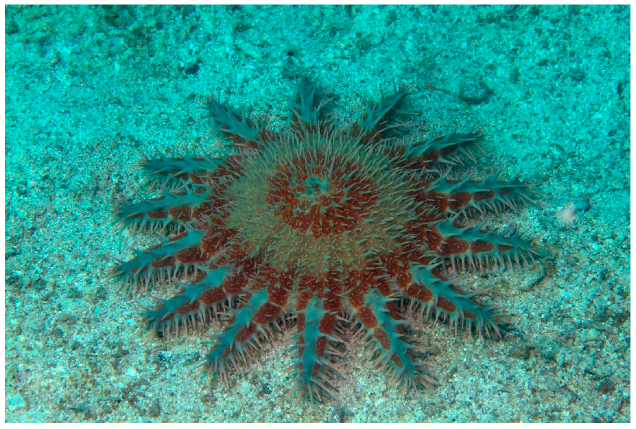 Marinedrugs 17 00617 g001