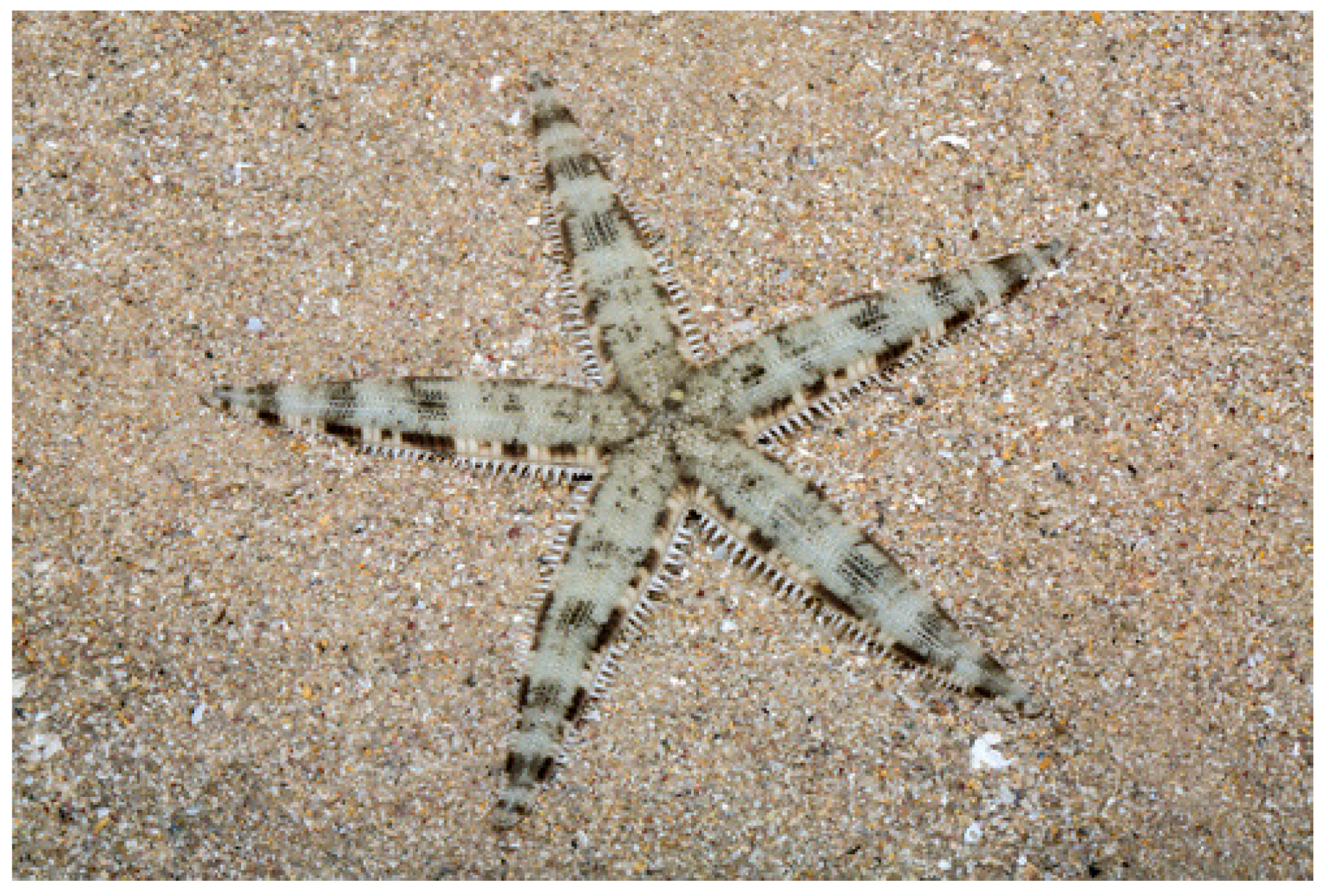 Marinedrugs 17 00617 g003