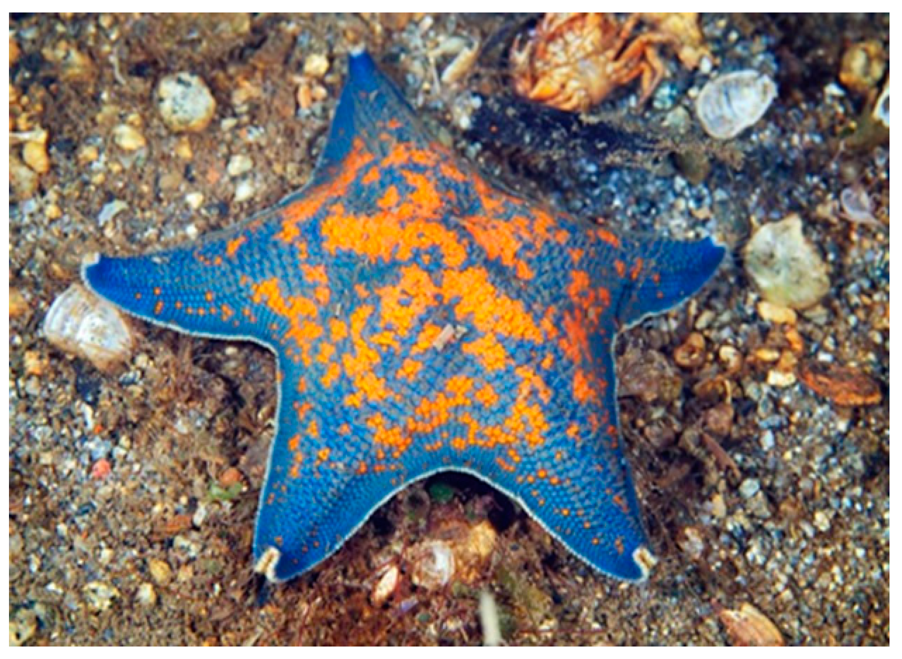 Marinedrugs 17 00617 g005