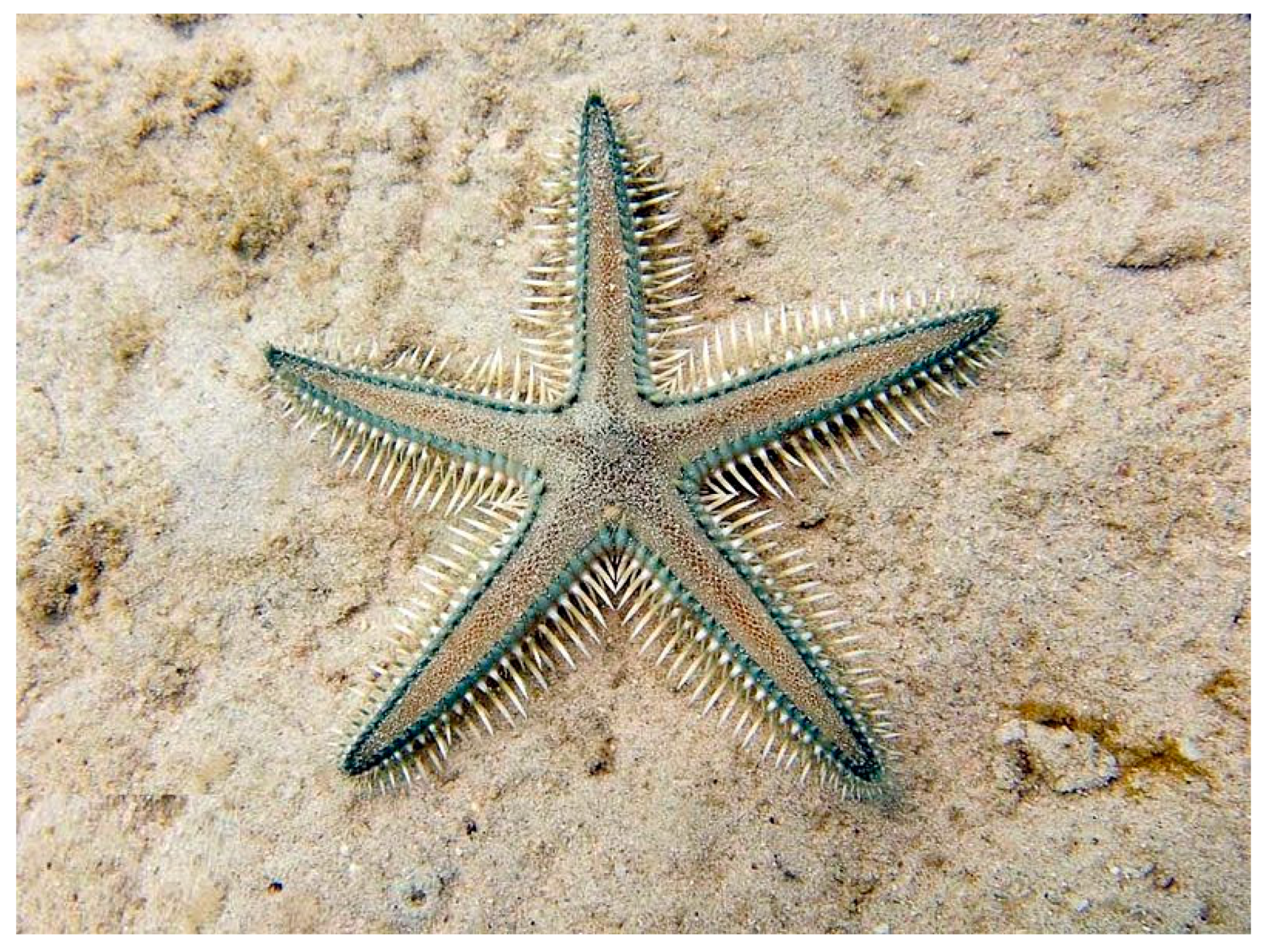 Marinedrugs 17 00617 g007