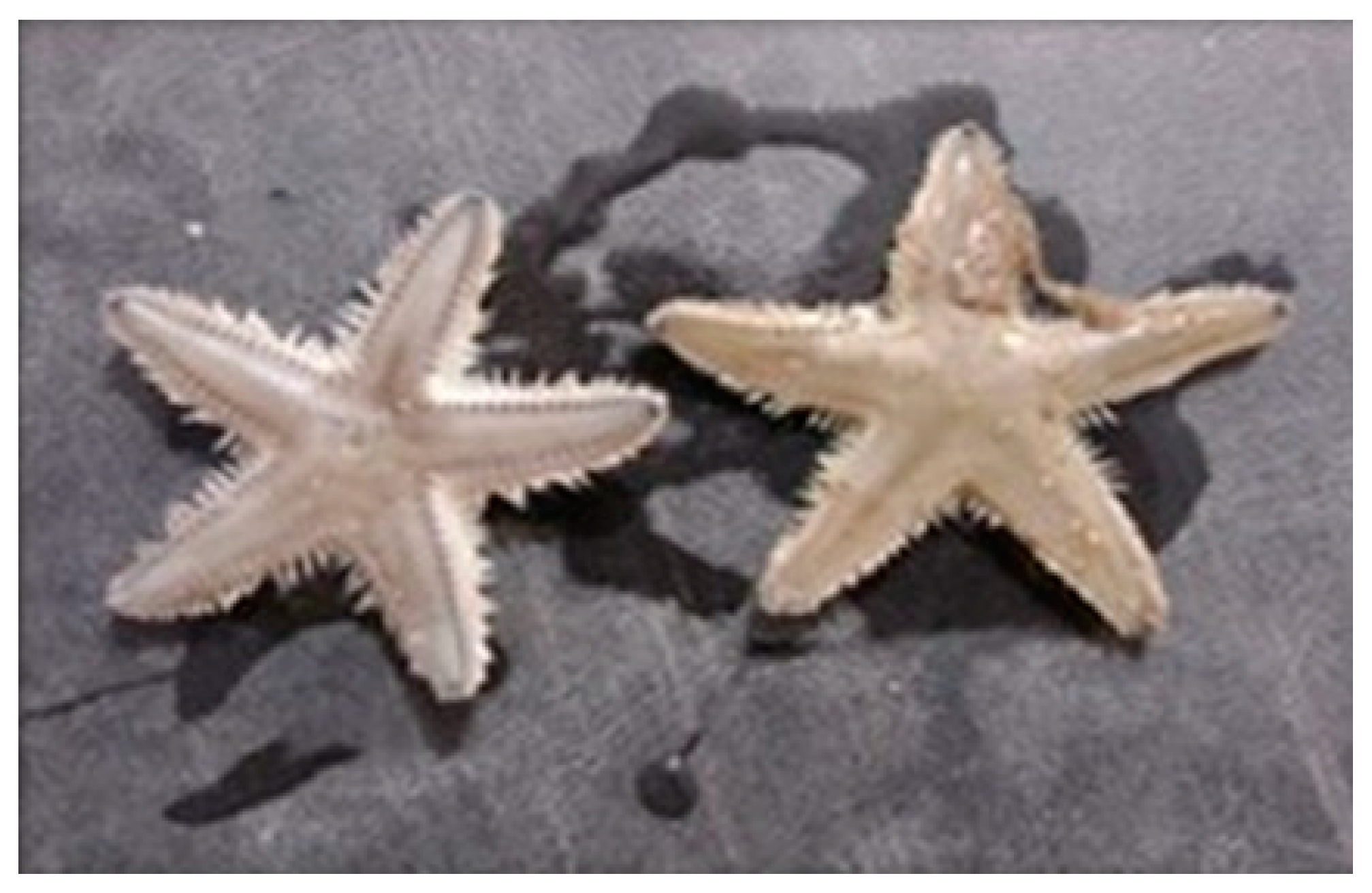 Marinedrugs 17 00617 g008