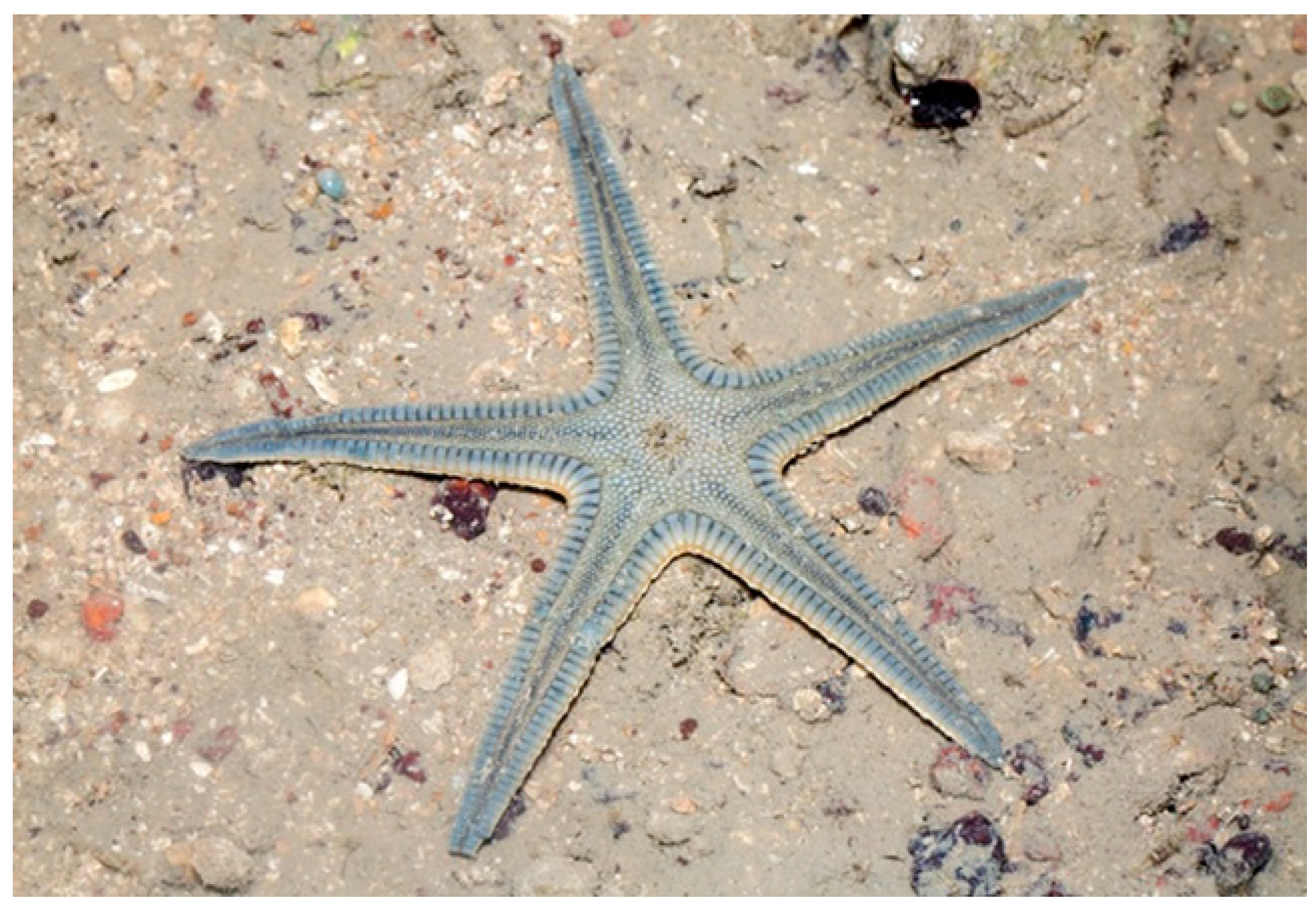 Marinedrugs 17 00617 g010