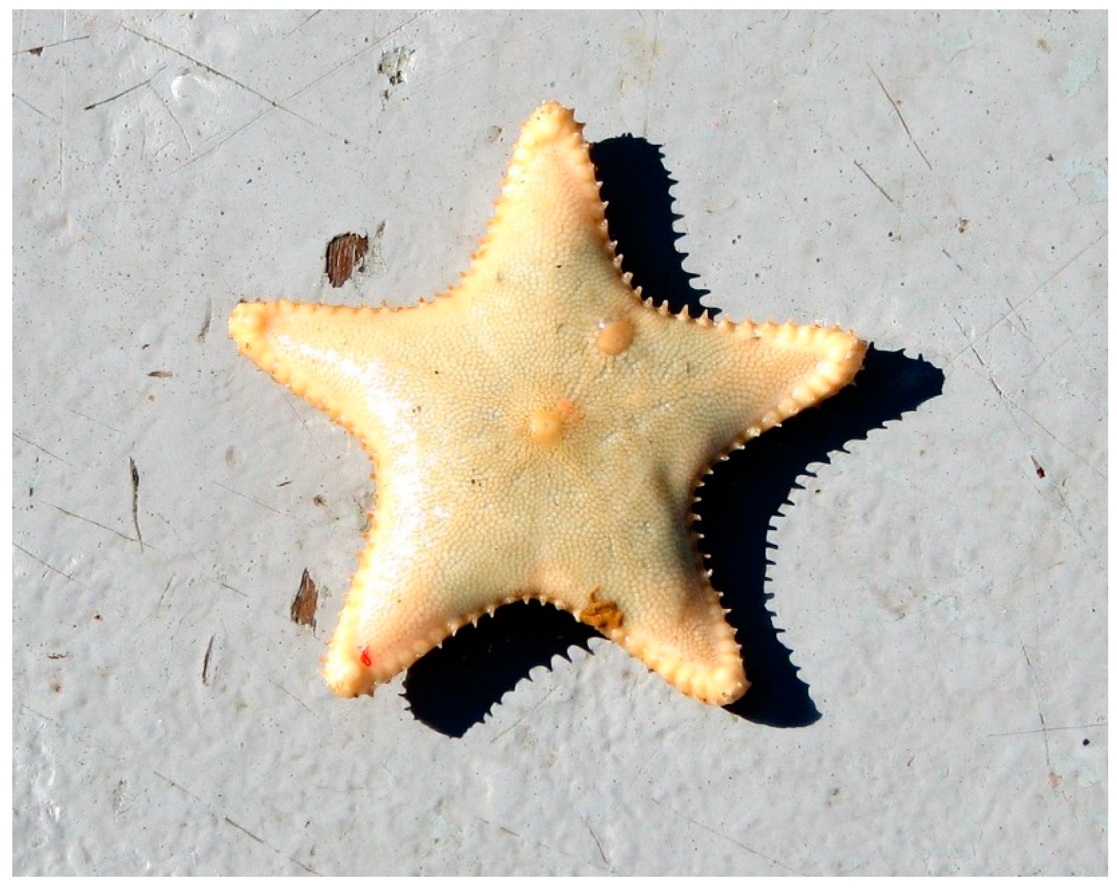 Marinedrugs 17 00617 g011