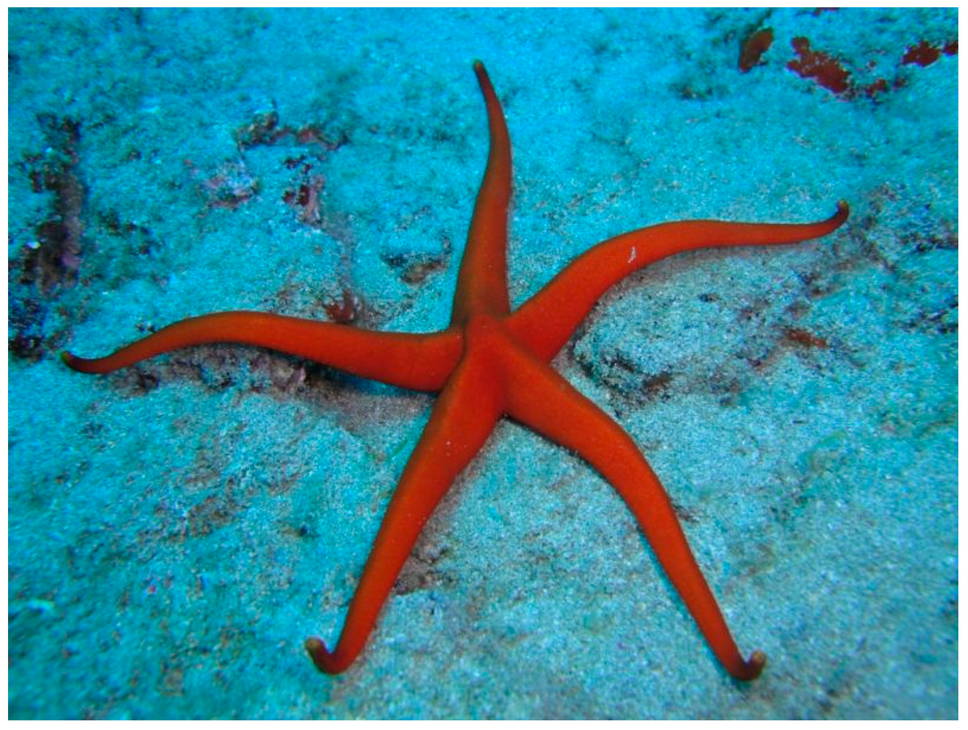 Marinedrugs 17 00617 g016