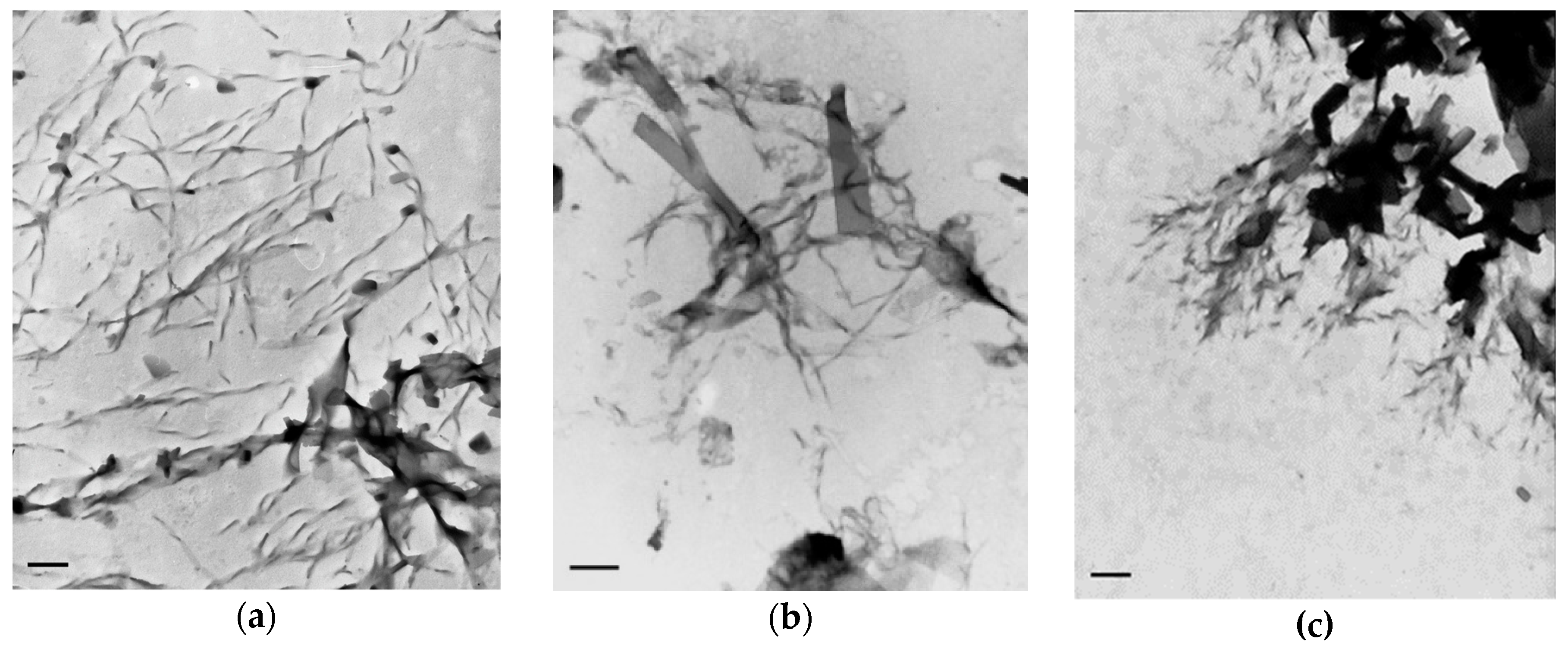 Marinedrugs 17 00629 g006 Marinedrugs 17 00629 g006