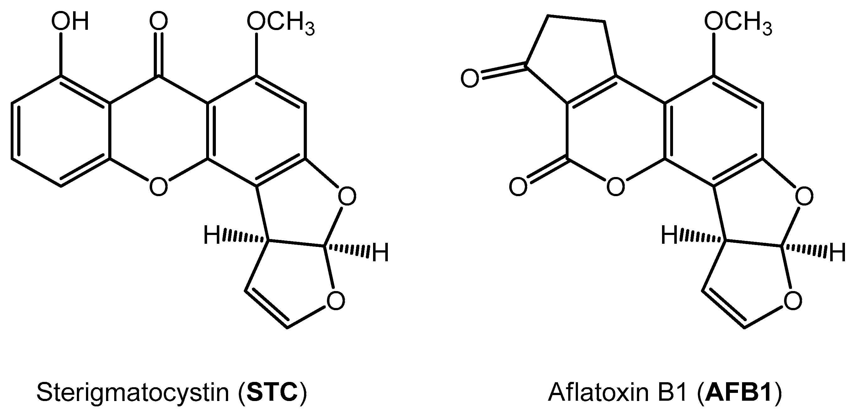 Marinedrugs 17 00629 sch001 Marinedrugs 17 00629 sch001