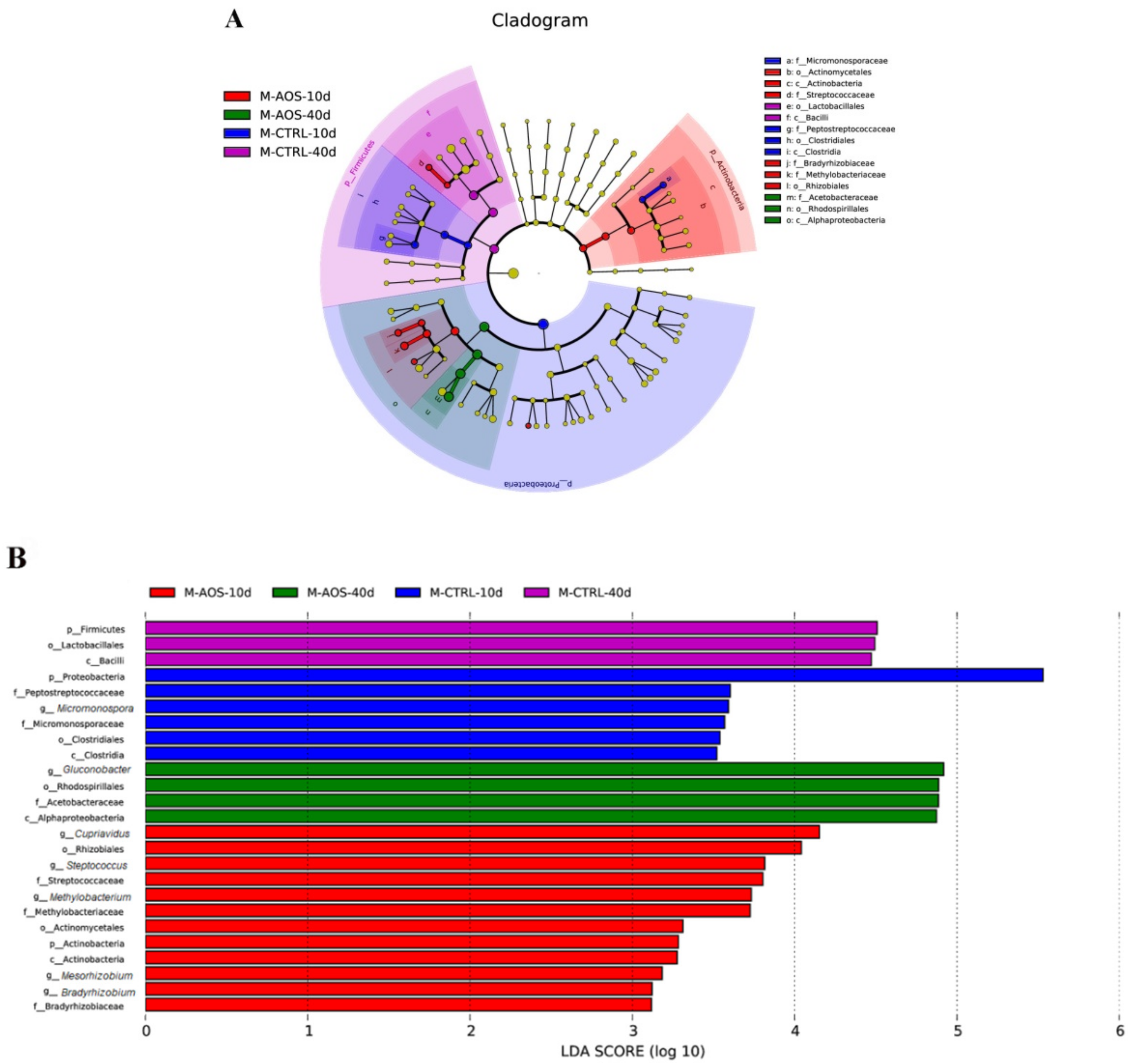 Marinedrugs 17 00632 g006 Marinedrugs 17 00632 g006