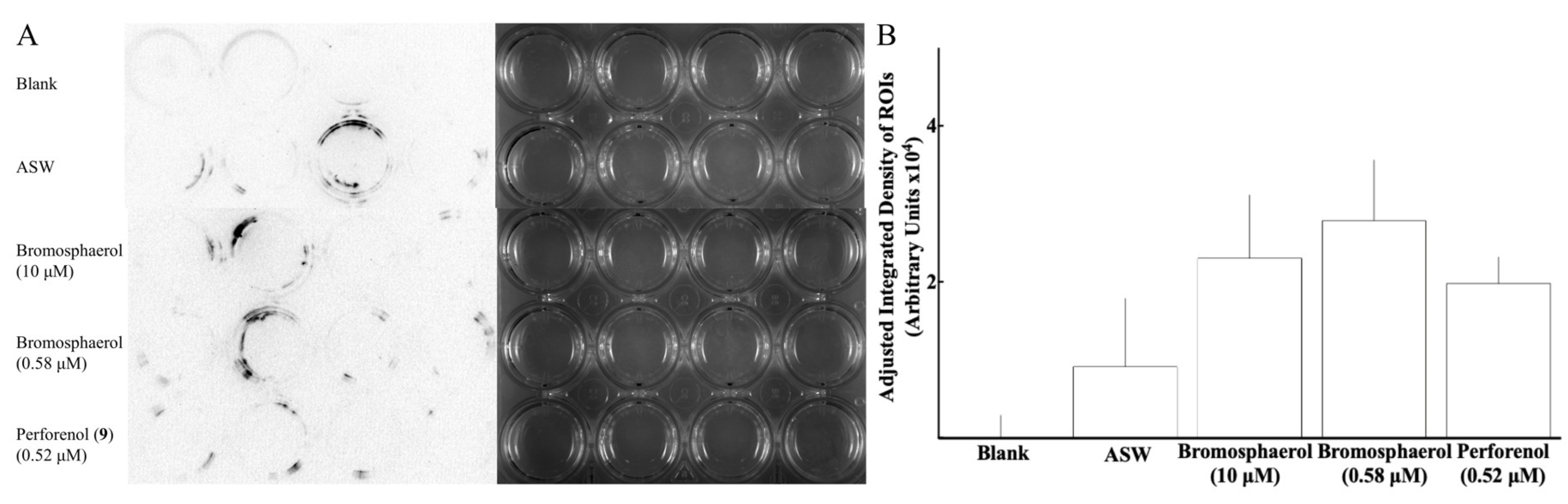 Marinedrugs 17 00646 g002