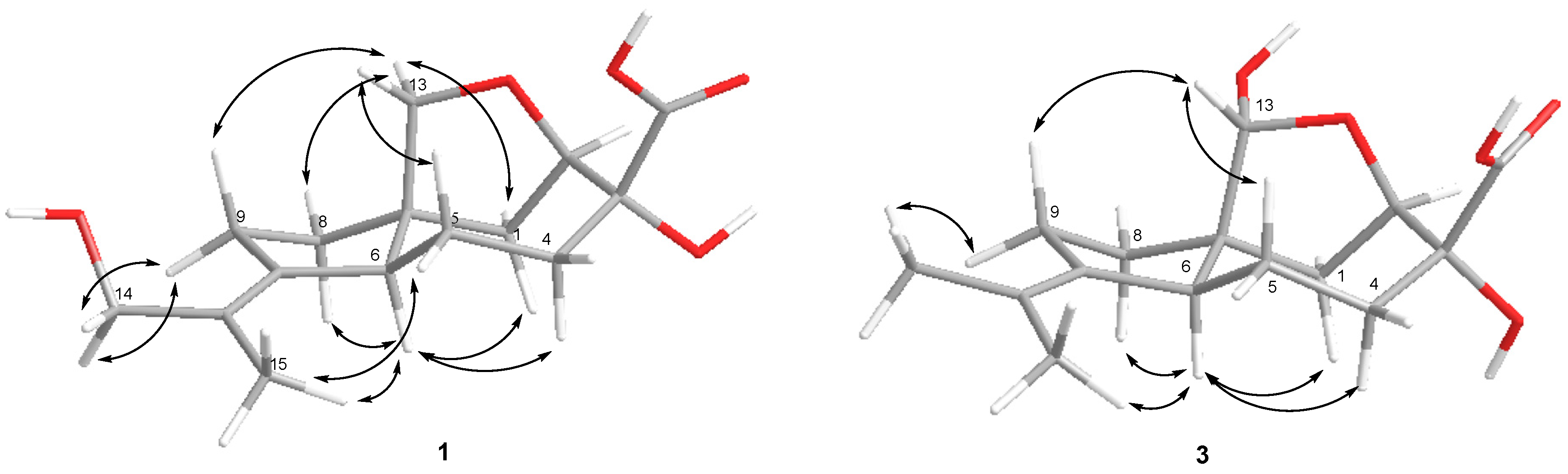 Marinedrugs 17 00647 g003