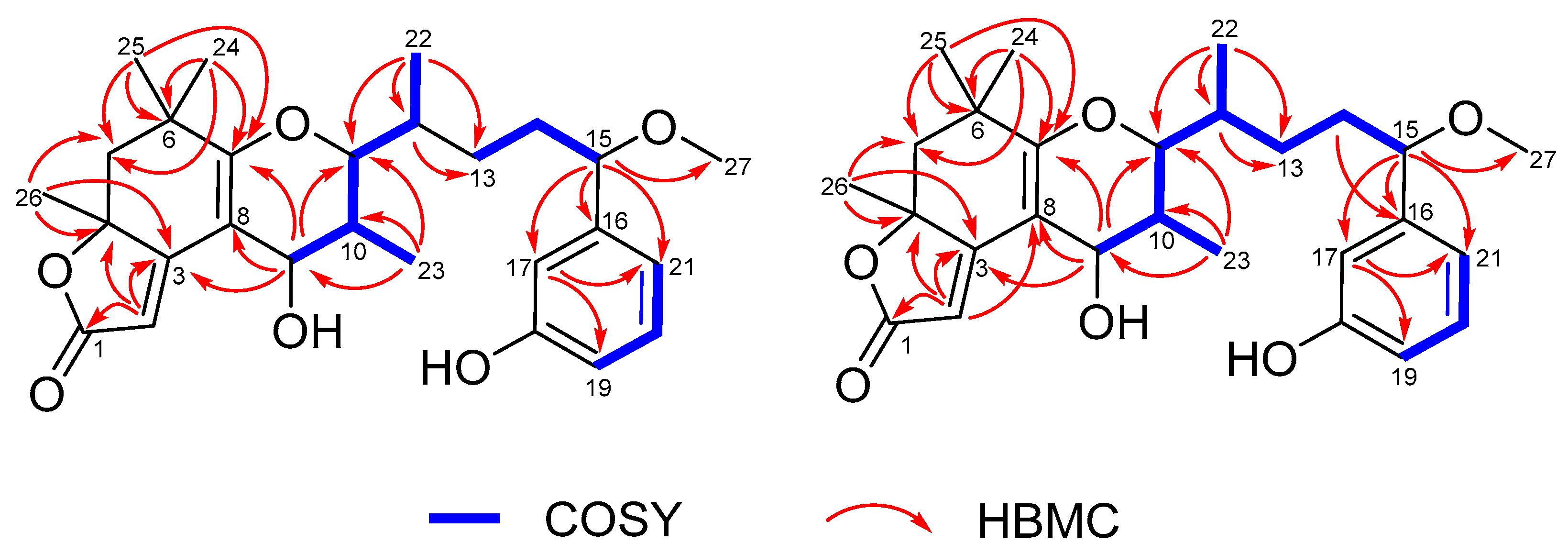 Marinedrugs 17 00652 g002