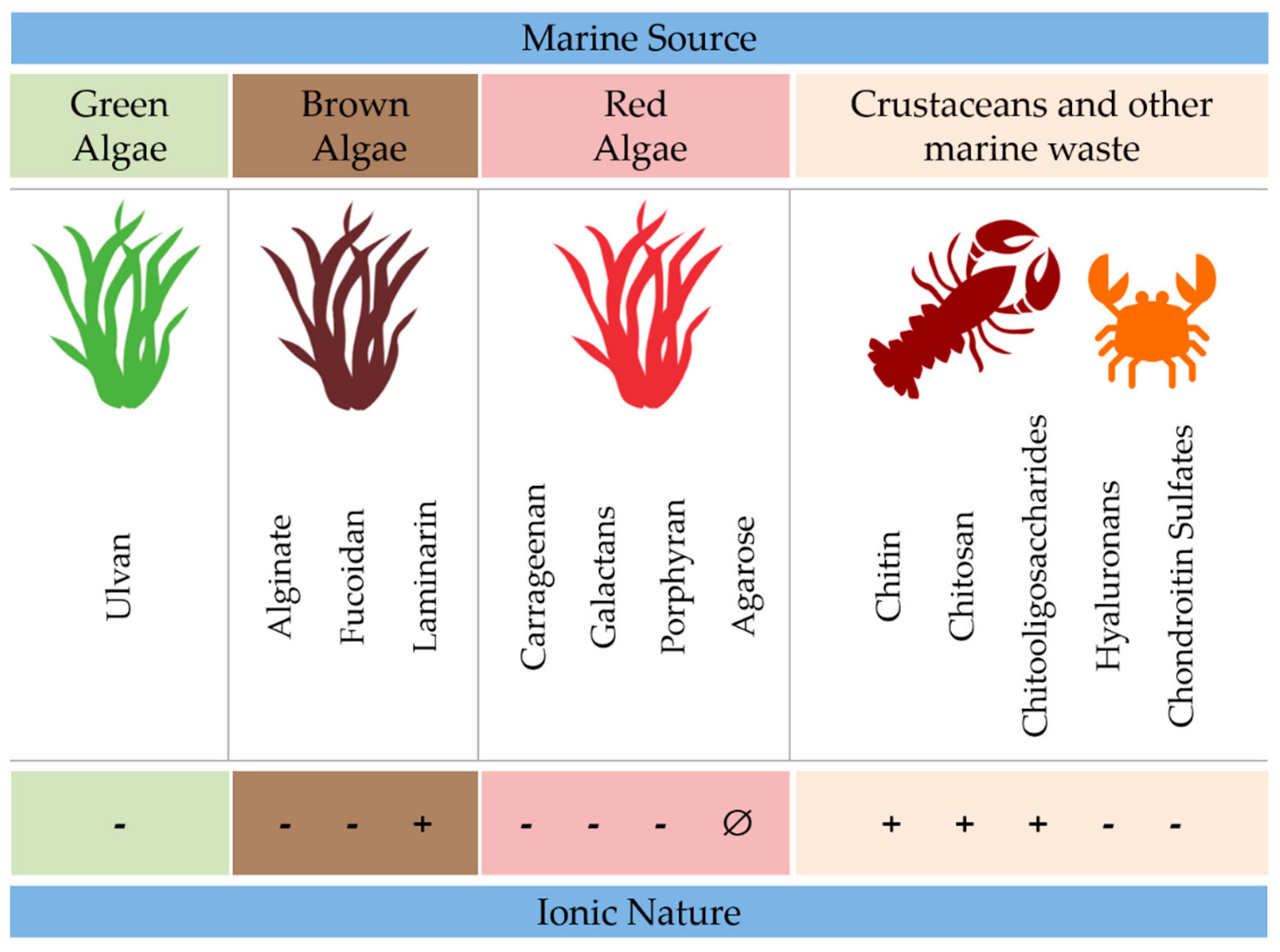 Marinedrugs 17 00654 g002