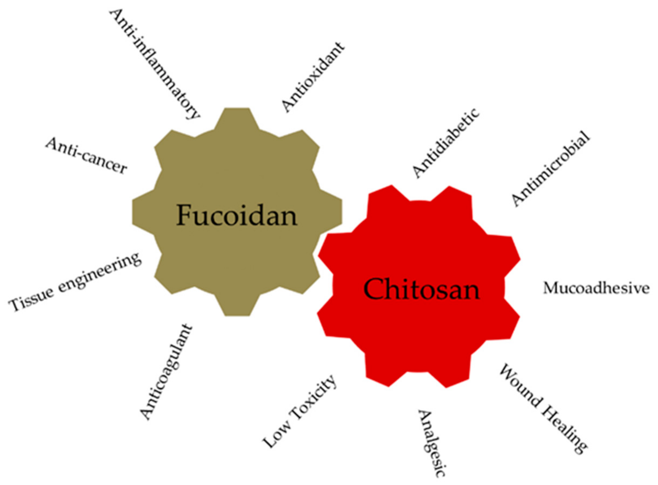 Marinedrugs 17 00654 g004