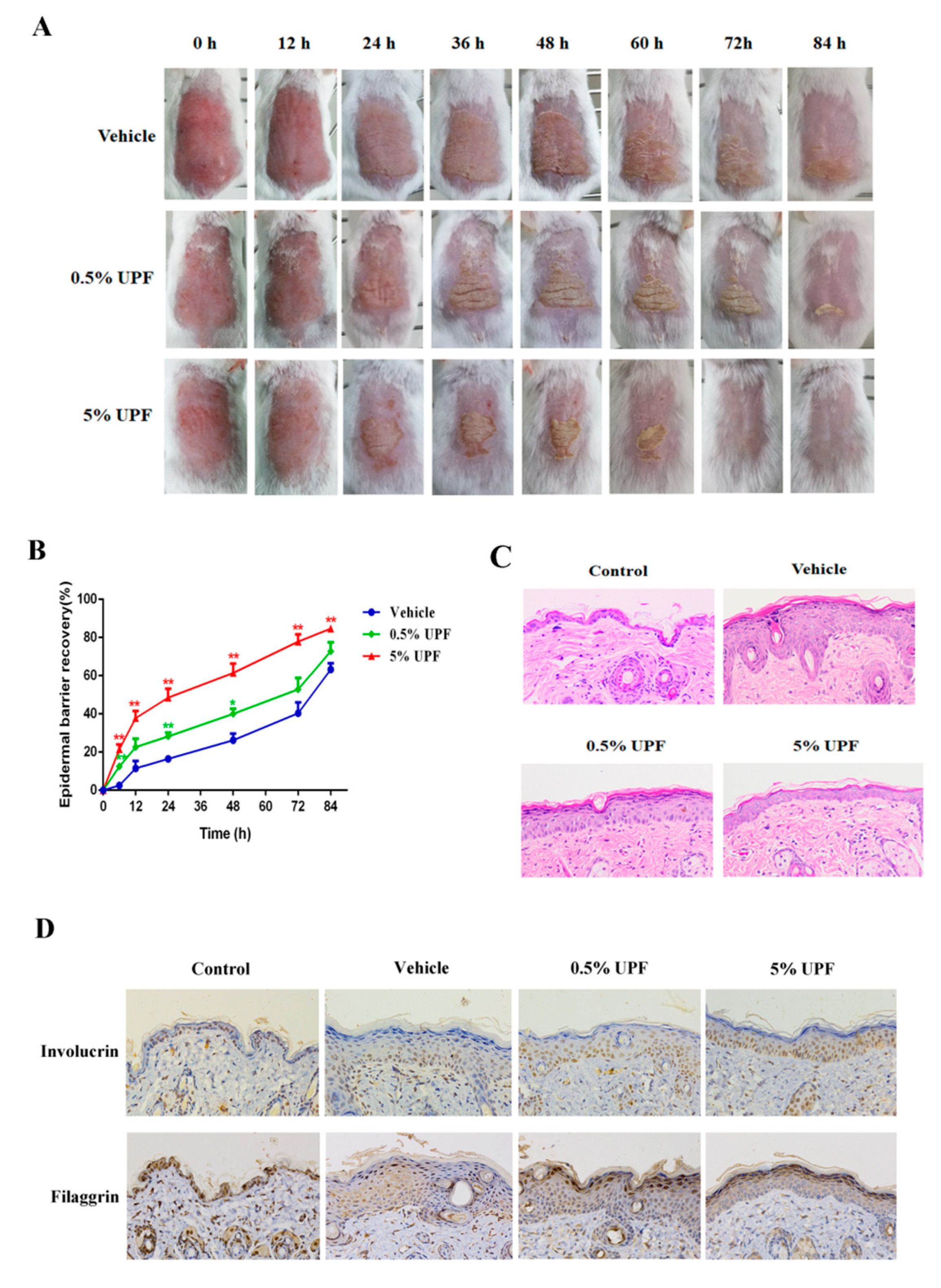 Marinedrugs 17 00660 g002 Marinedrugs 17 00660 g002