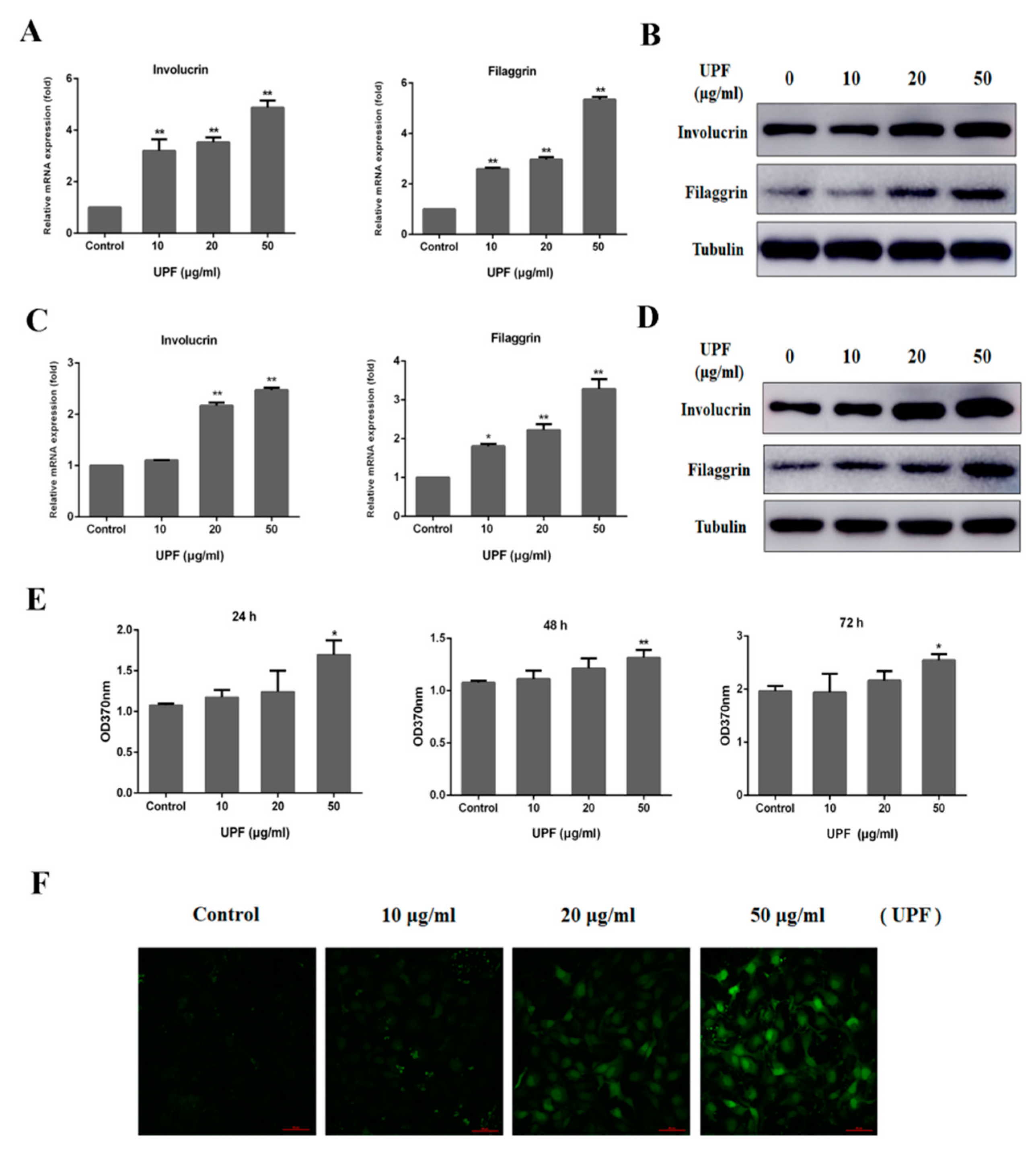 Marinedrugs 17 00660 g003 Marinedrugs 17 00660 g003