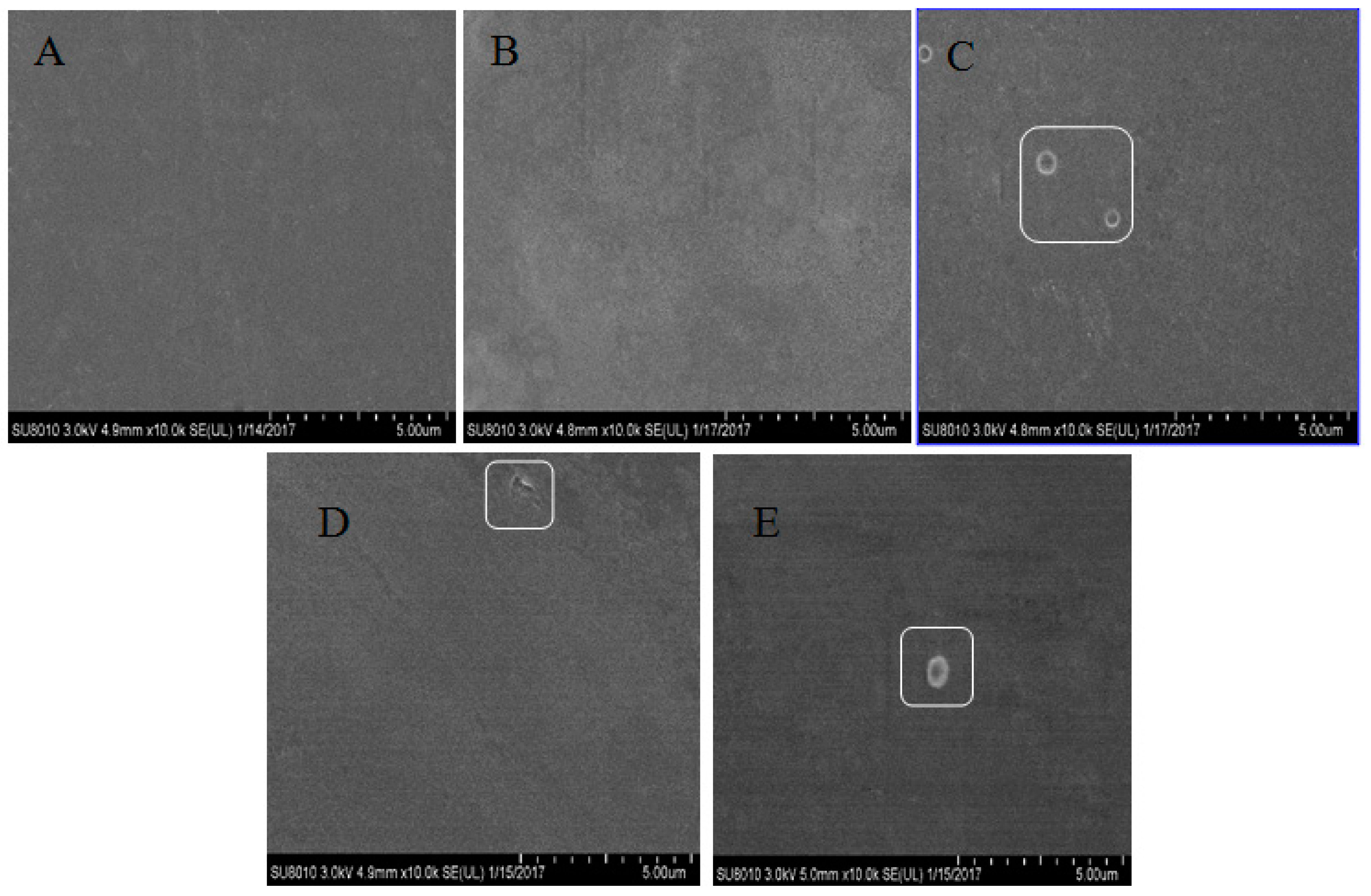 Marinedrugs 17 00662 g006 Marinedrugs 17 00662 g006