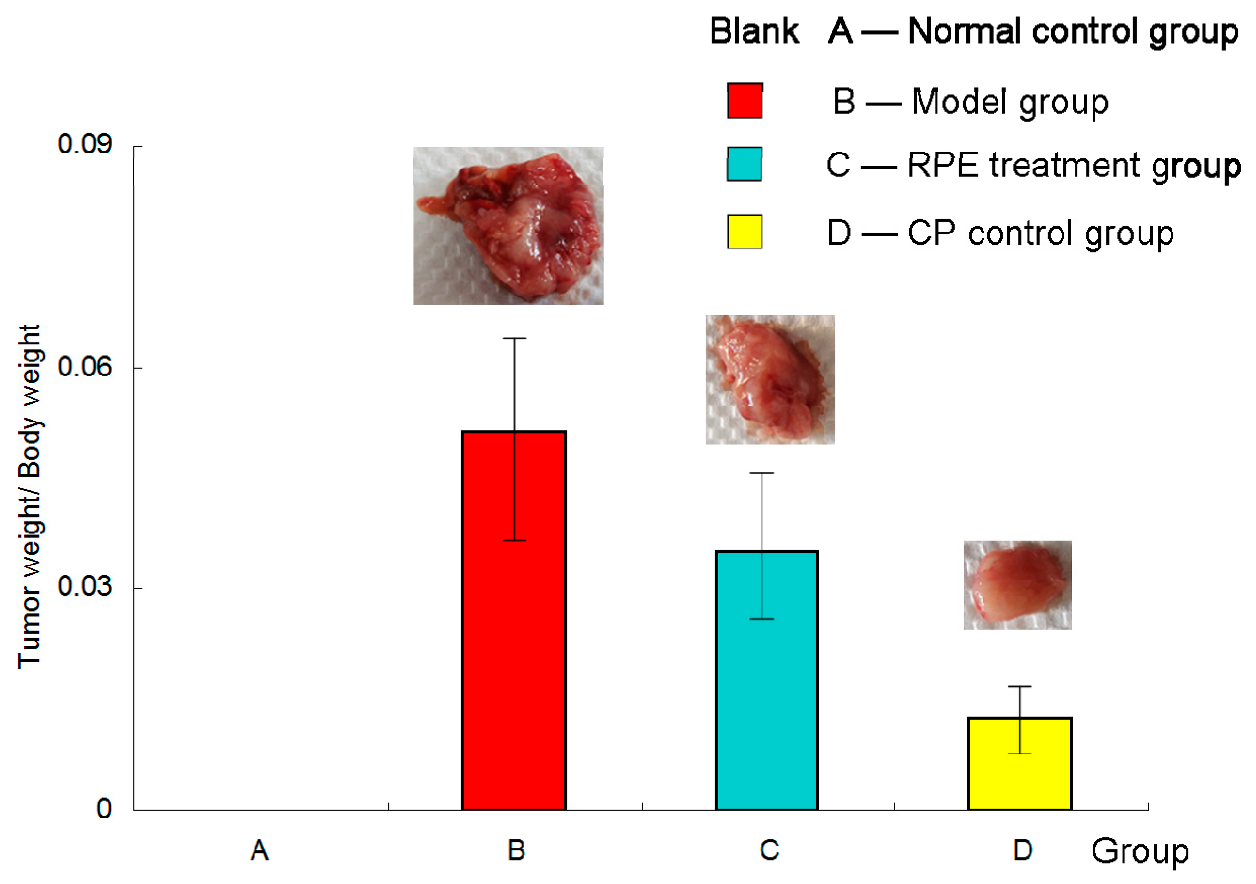 Marinedrugs 17 00665 g001