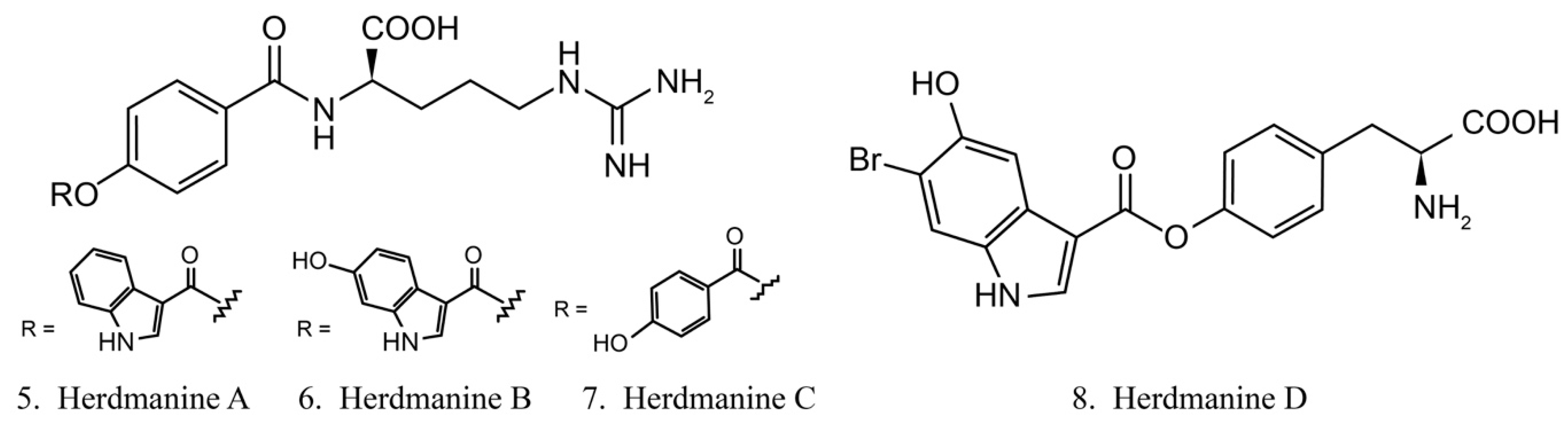 Marinedrugs 17 00670 g004 Marinedrugs 17 00670 g004