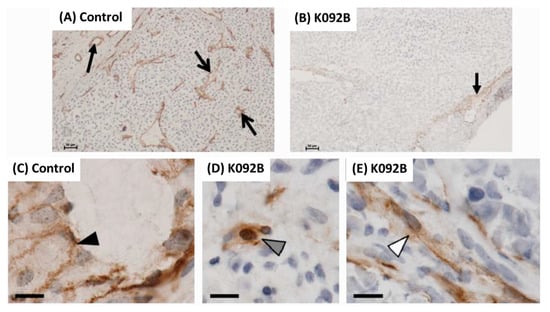 Marinedrugs 17 00672 g0a1