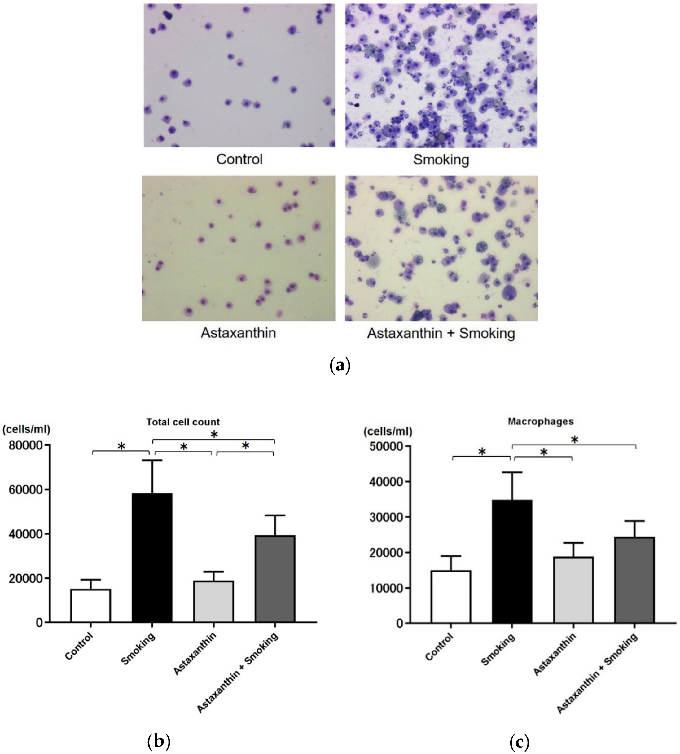 Marinedrugs 17 00673 g003a