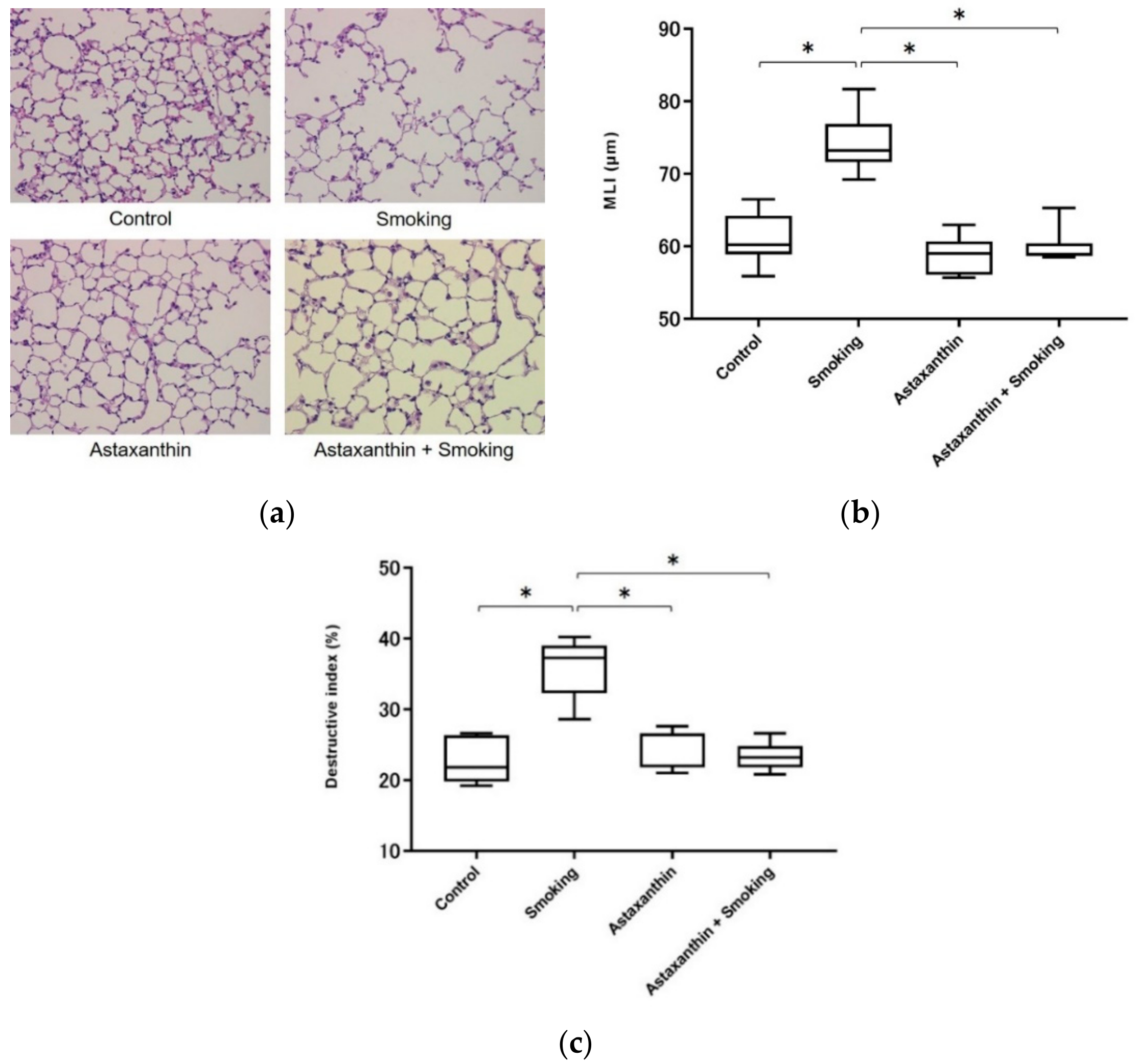 Marinedrugs 17 00673 g004