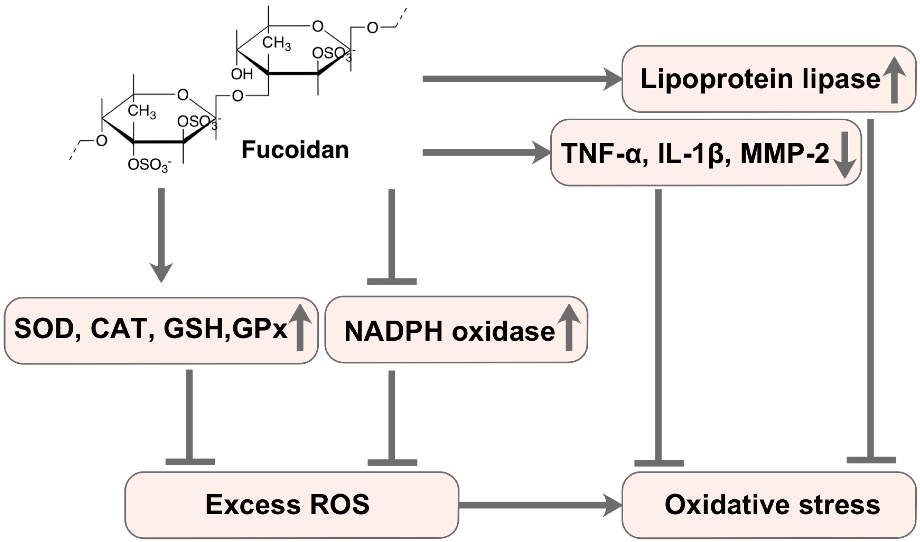 Marinedrugs 17 00674 g002