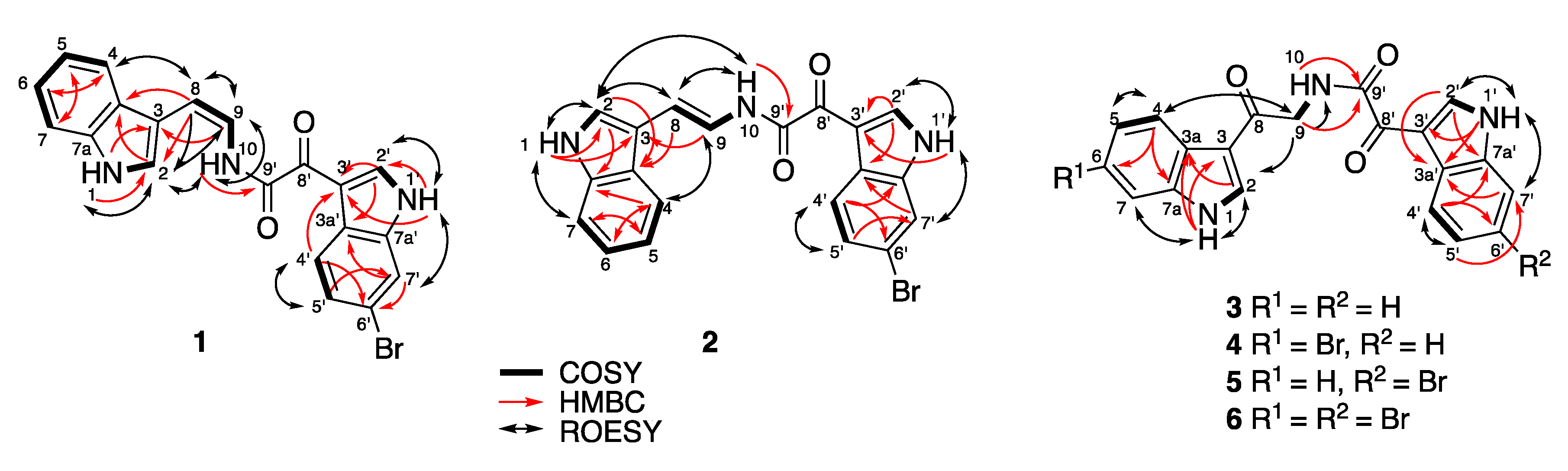 Marinedrugs 17 00683 g001