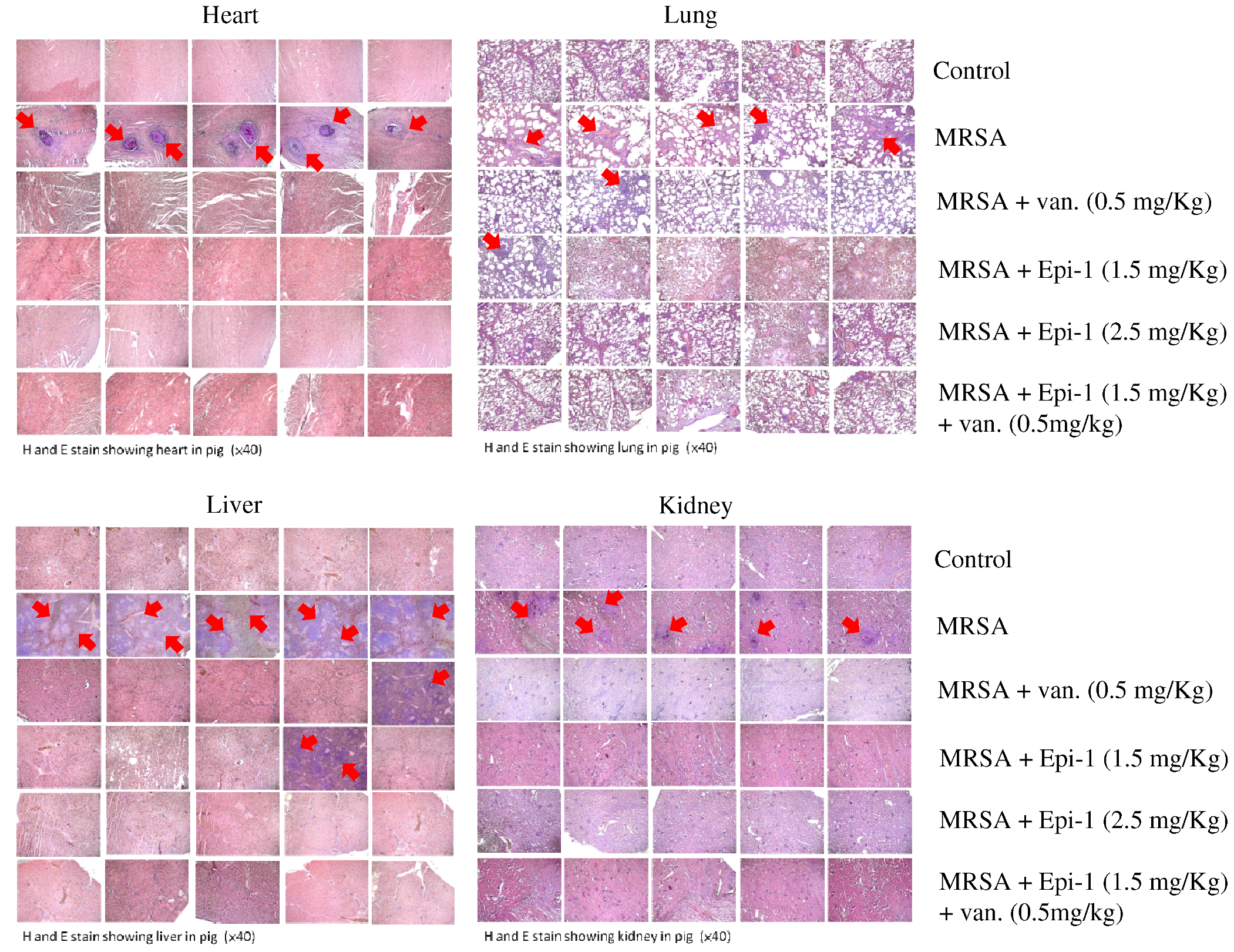 Marinedrugs 17 00693 g007 Marinedrugs 17 00693 g007