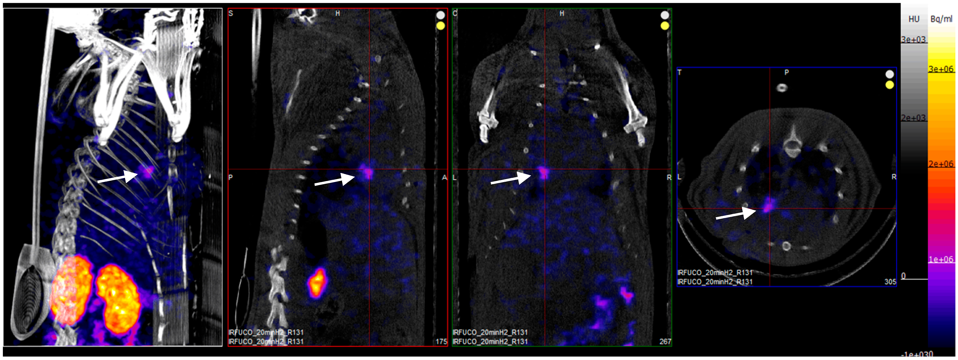 Marinedrugs 17 00699 g003