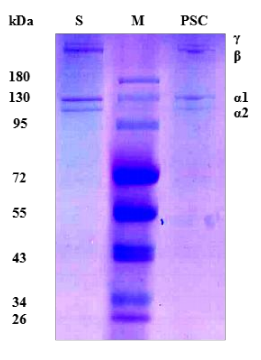 Marinedrugs 17 00708 g001