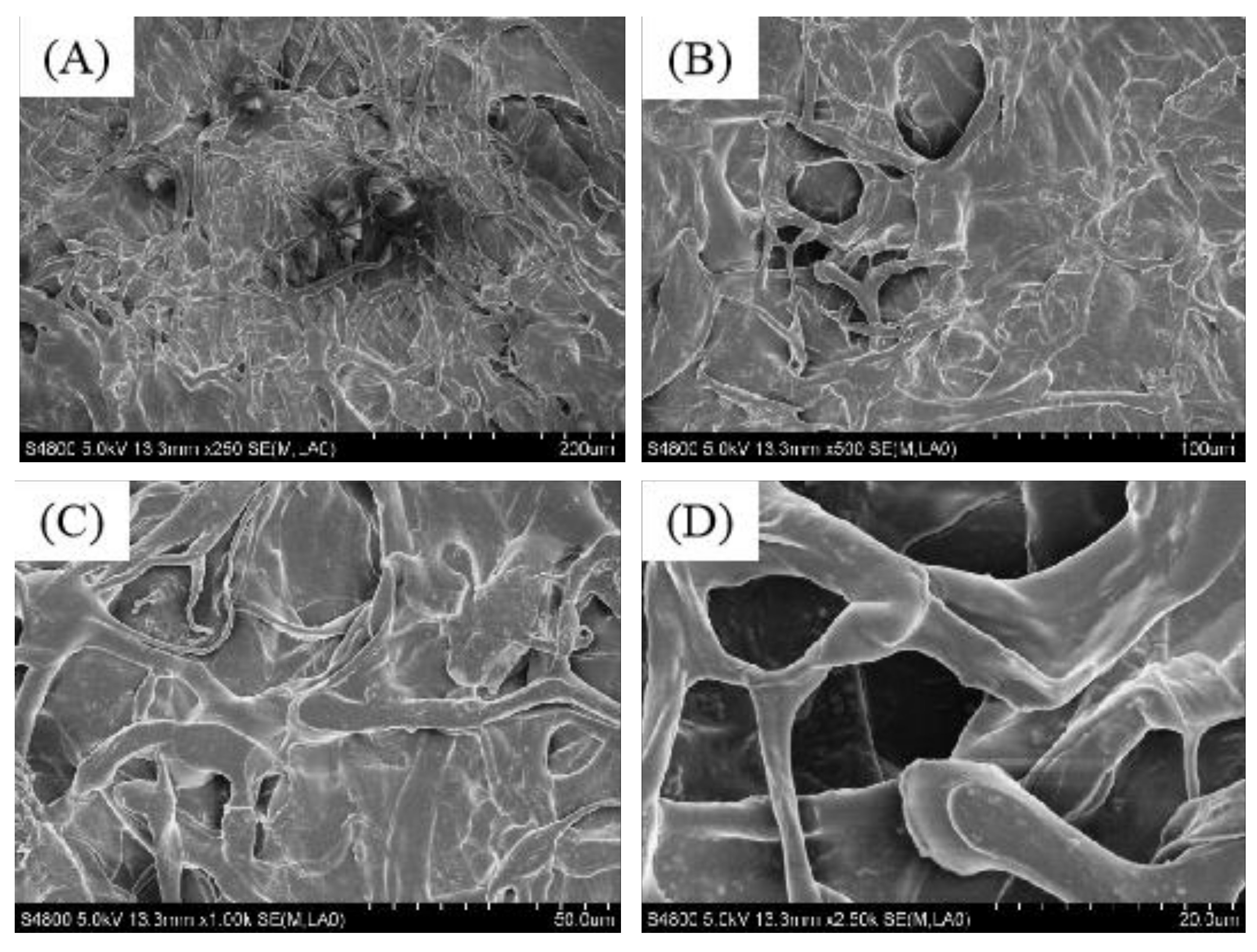 Marinedrugs 17 00708 g004