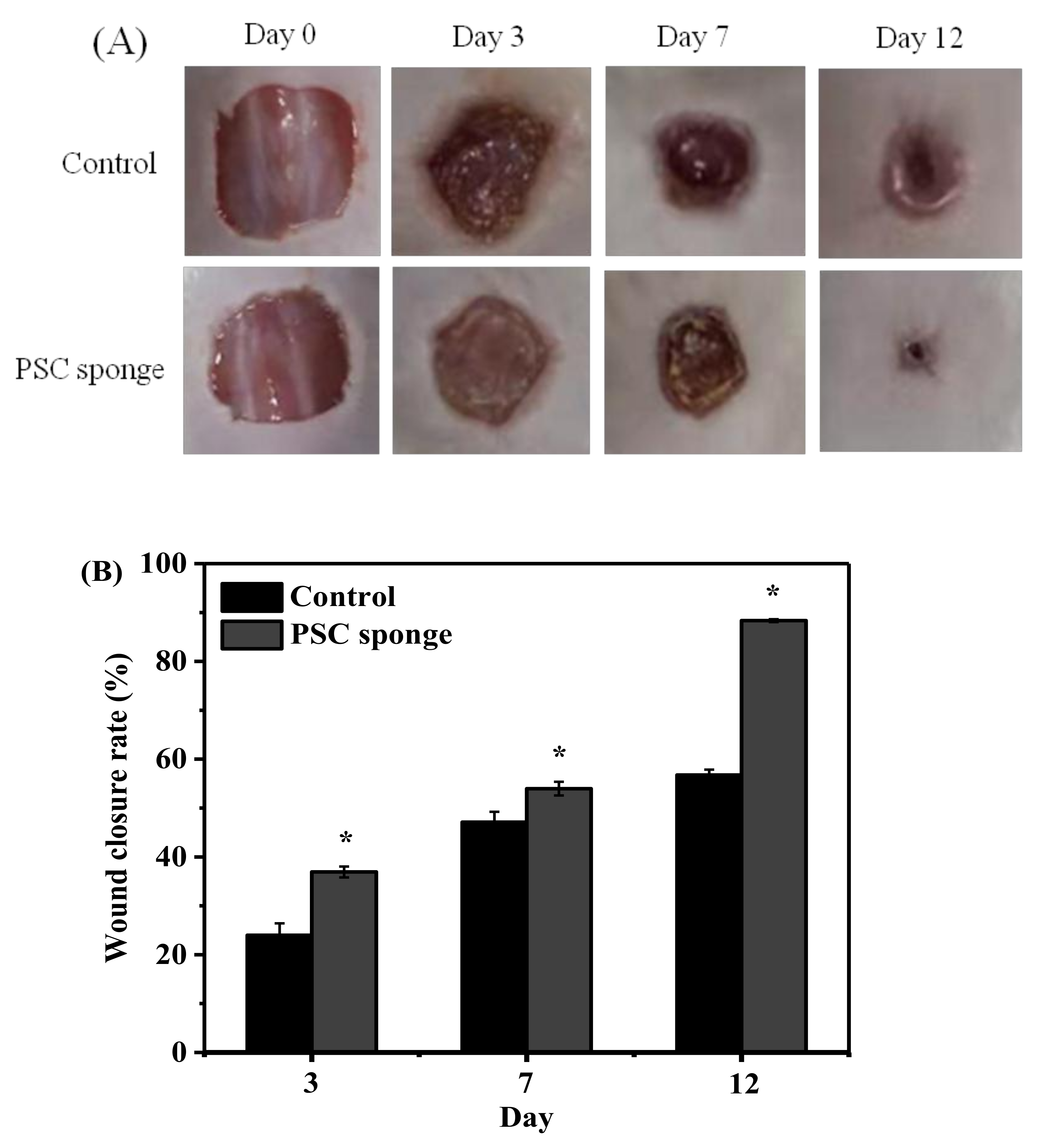 Marinedrugs 17 00708 g007