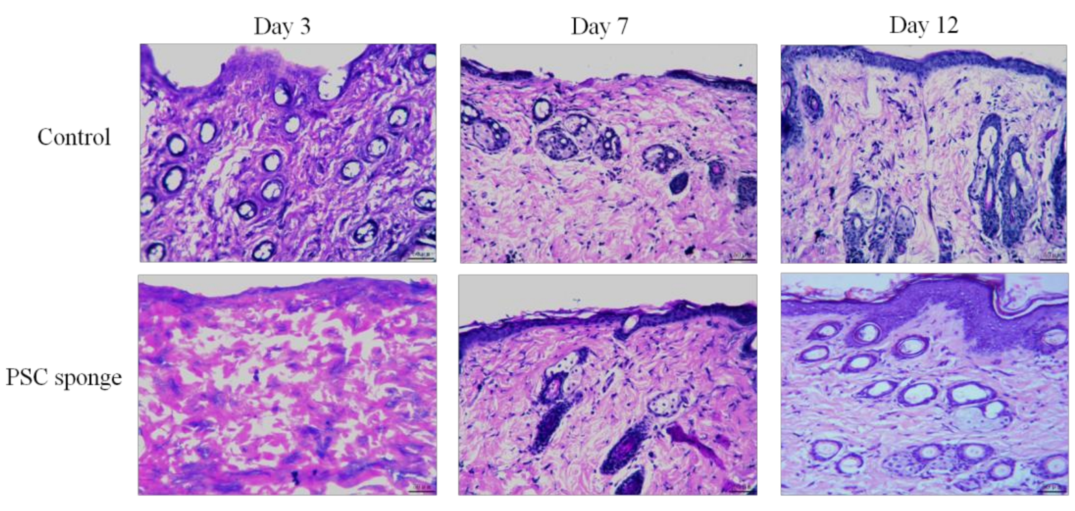 Marinedrugs 17 00708 g008