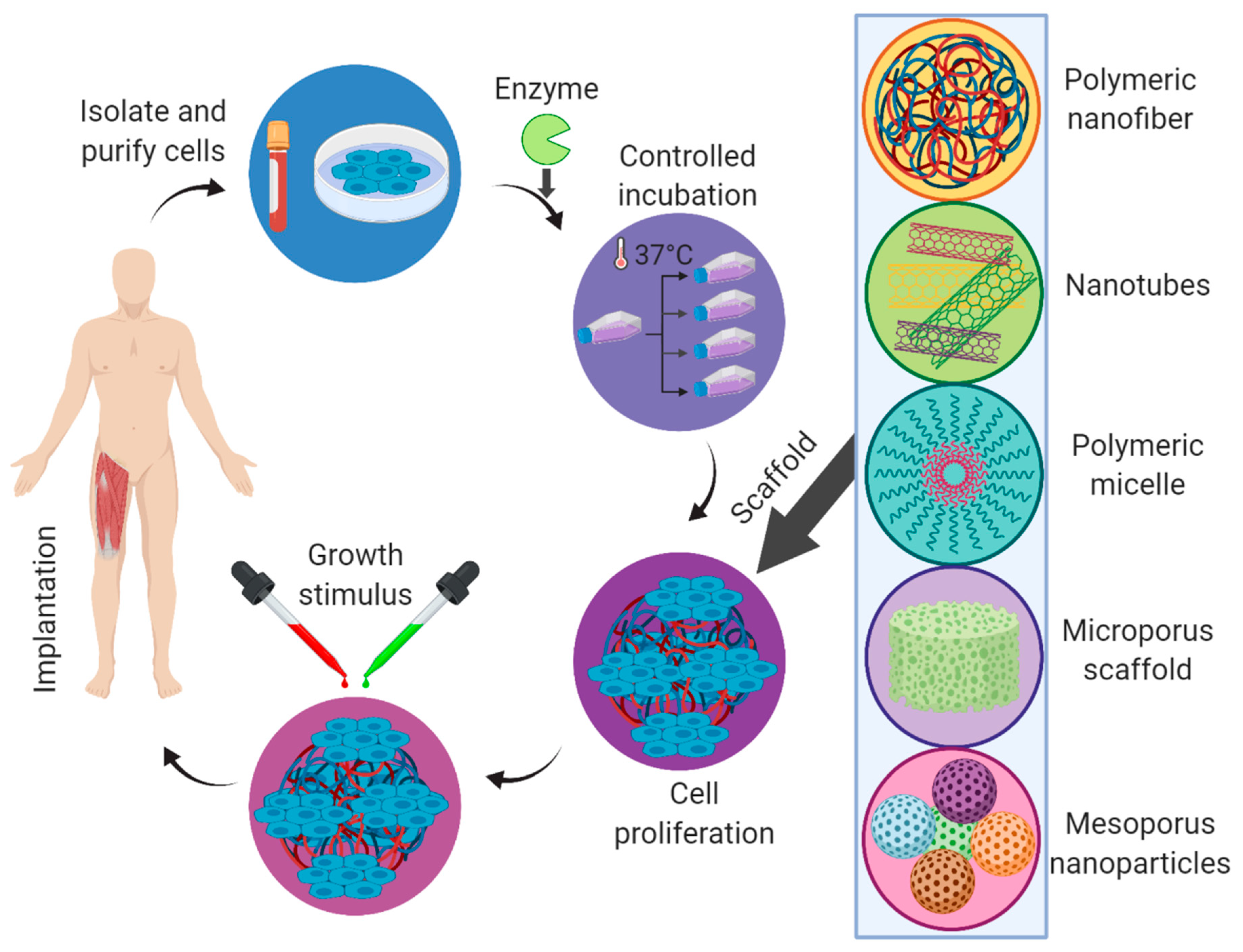 Marinedrugs 18 00007 g007