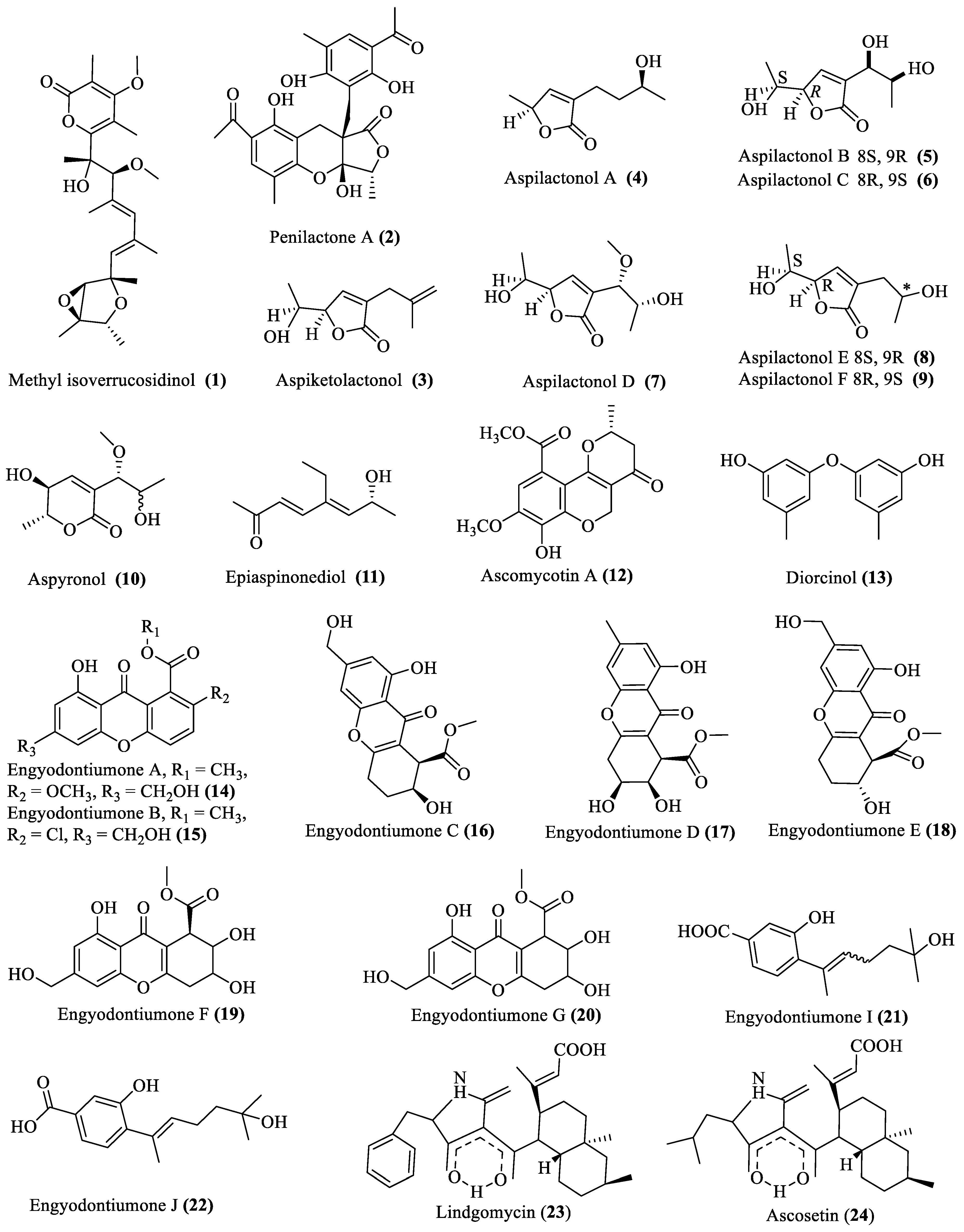 Marinedrugs 18 00009 g001