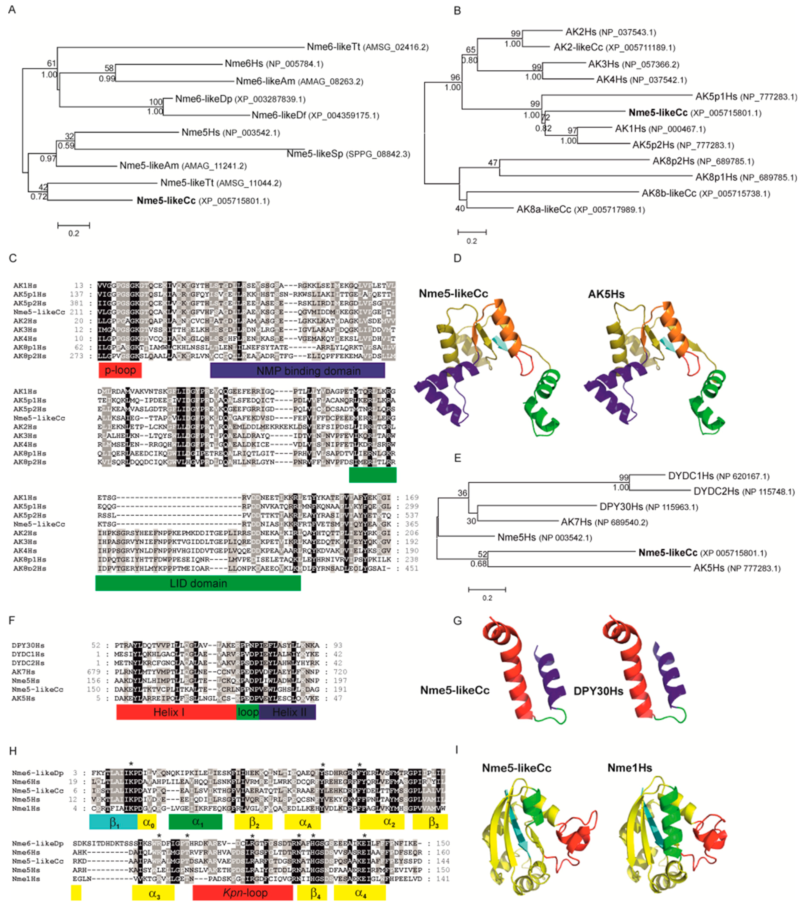 Marinedrugs 18 00013 g001 Marinedrugs 18 00013 g001