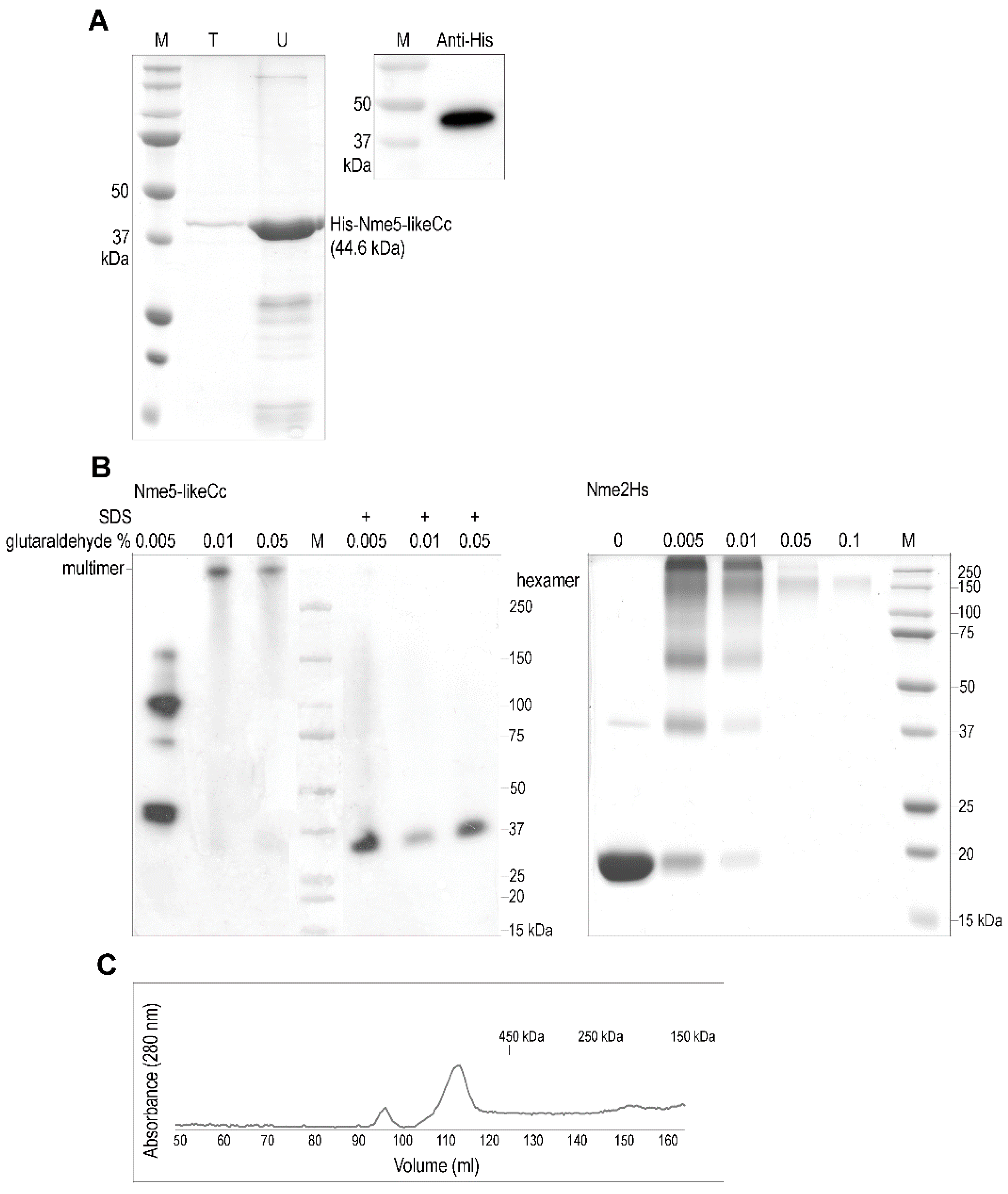 Marinedrugs 18 00013 g002 Marinedrugs 18 00013 g002