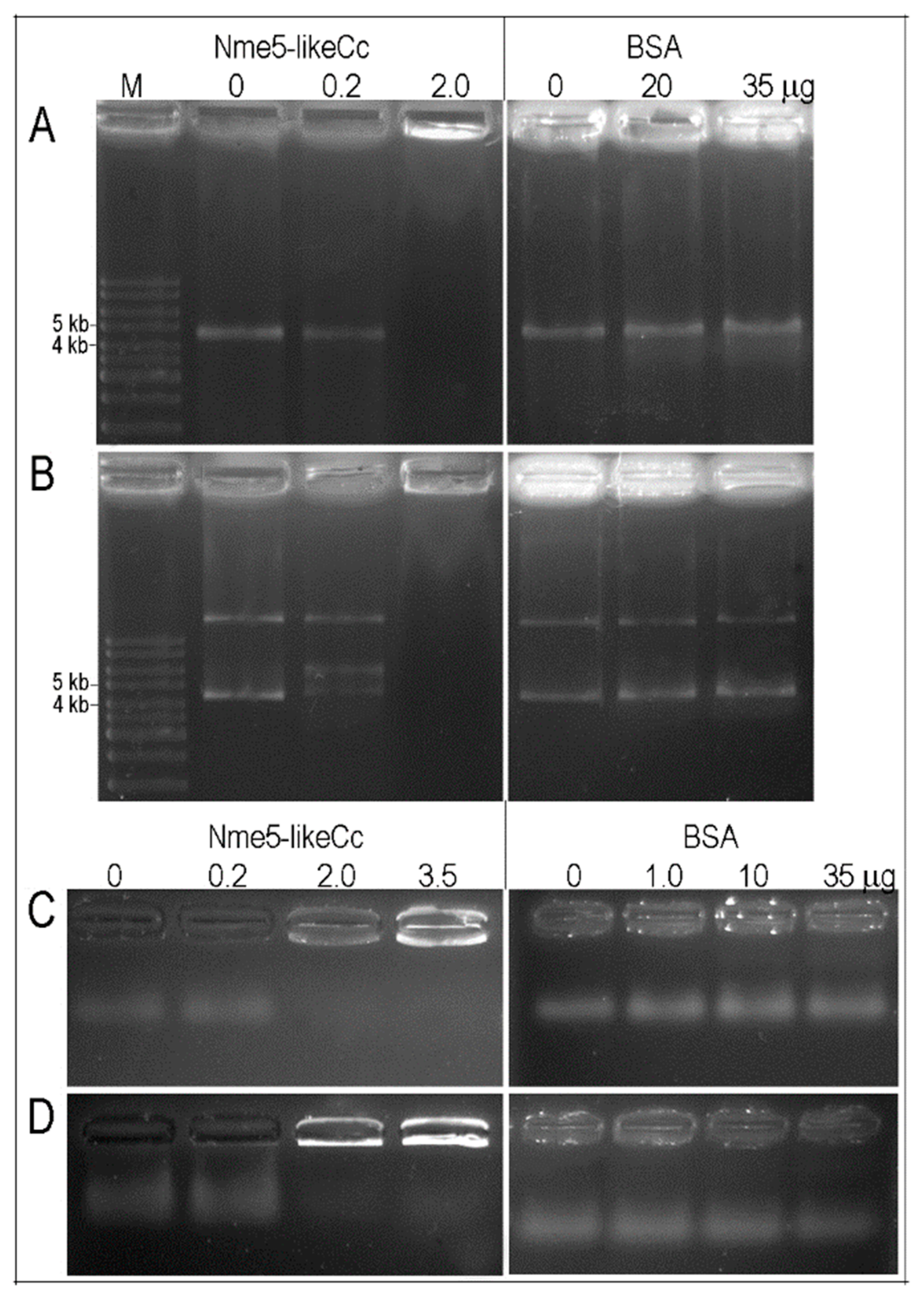 Marinedrugs 18 00013 g003 Marinedrugs 18 00013 g003