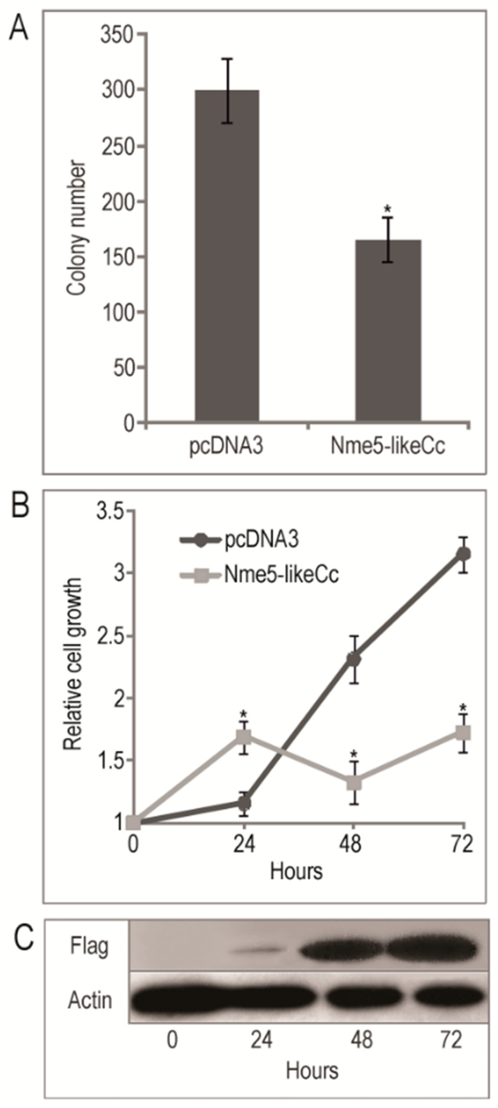 Marinedrugs 18 00013 g005 Marinedrugs 18 00013 g005
