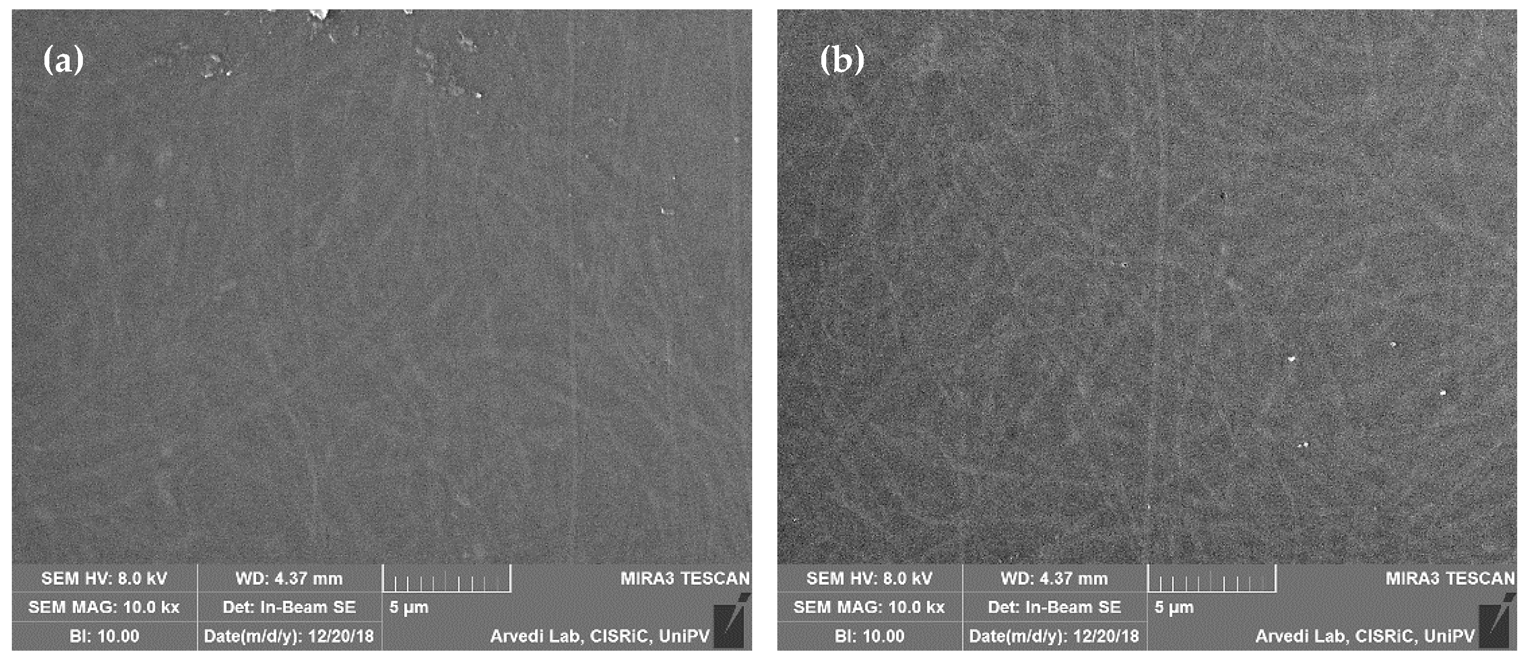 Marinedrugs 18 00021 g009