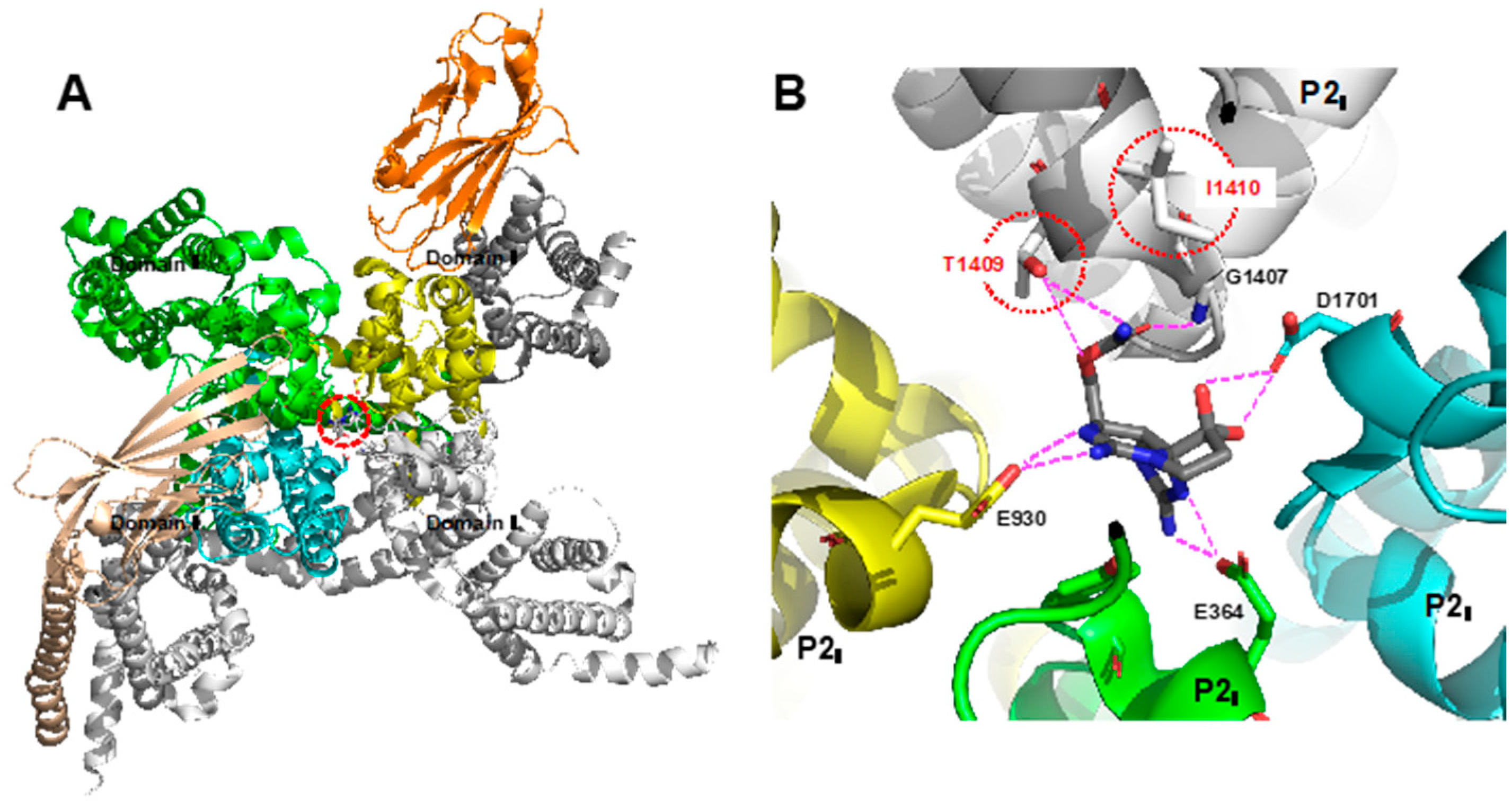Marinedrugs 18 00024 g002 Marinedrugs 18 00024 g002