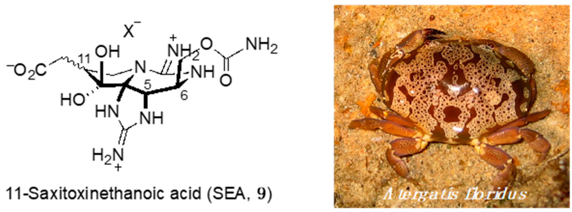 Marinedrugs 18 00024 g005 Marinedrugs 18 00024 g005