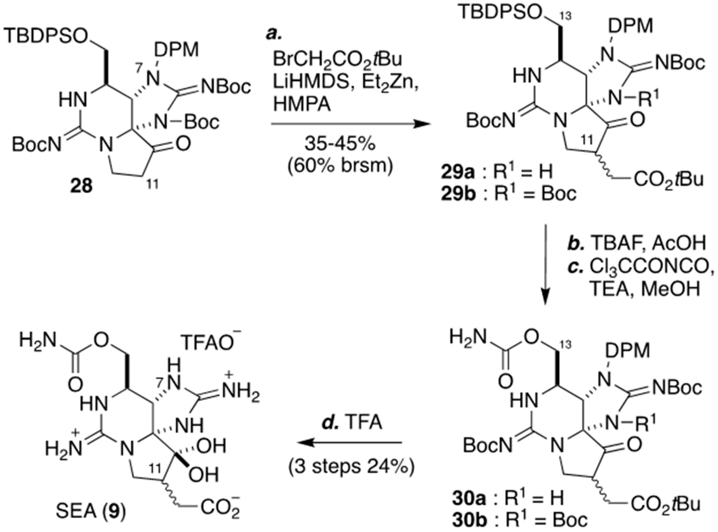 Marinedrugs 18 00024 sch004 Marinedrugs 18 00024 sch004
