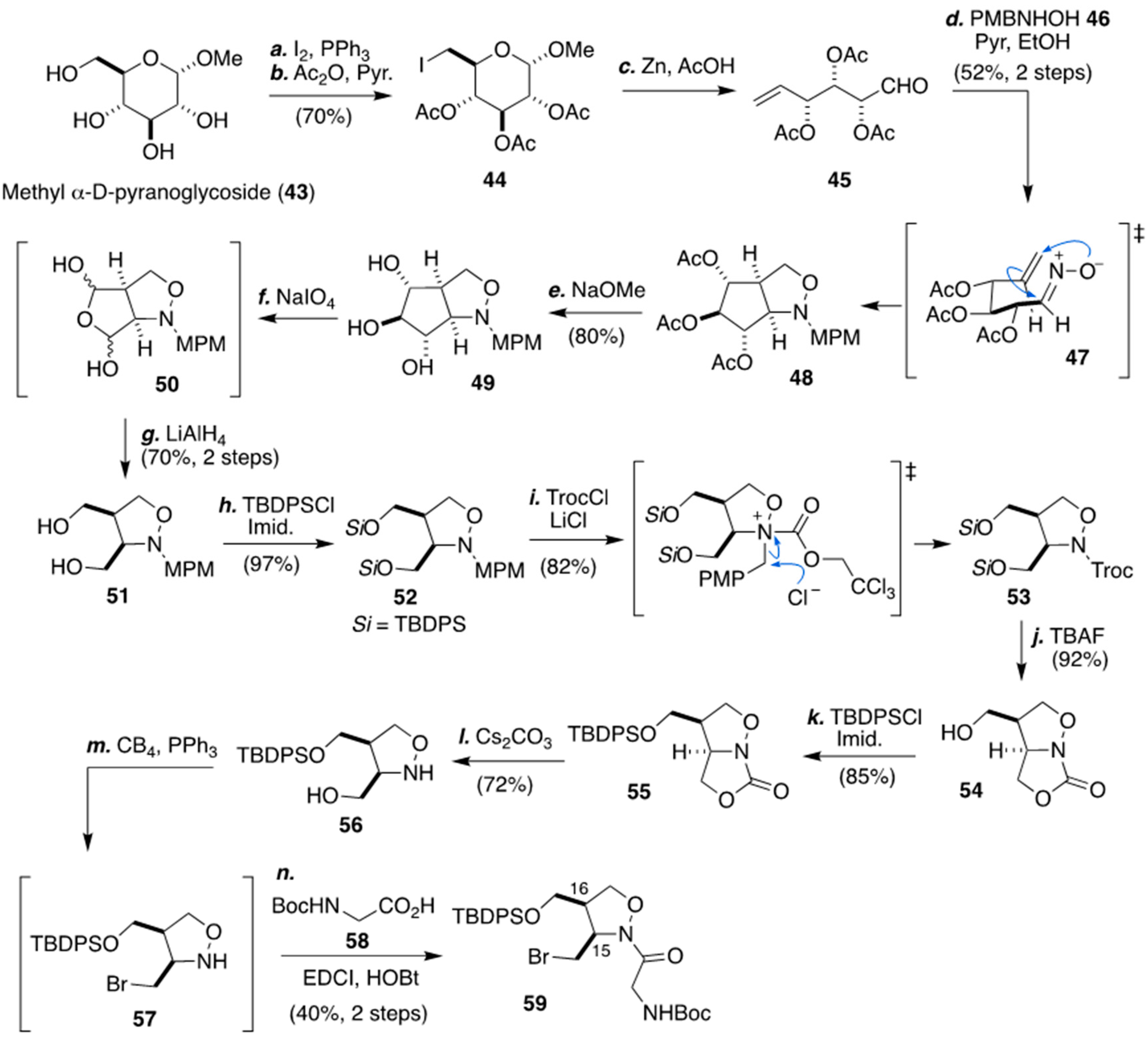 Marinedrugs 18 00024 sch006 Marinedrugs 18 00024 sch006