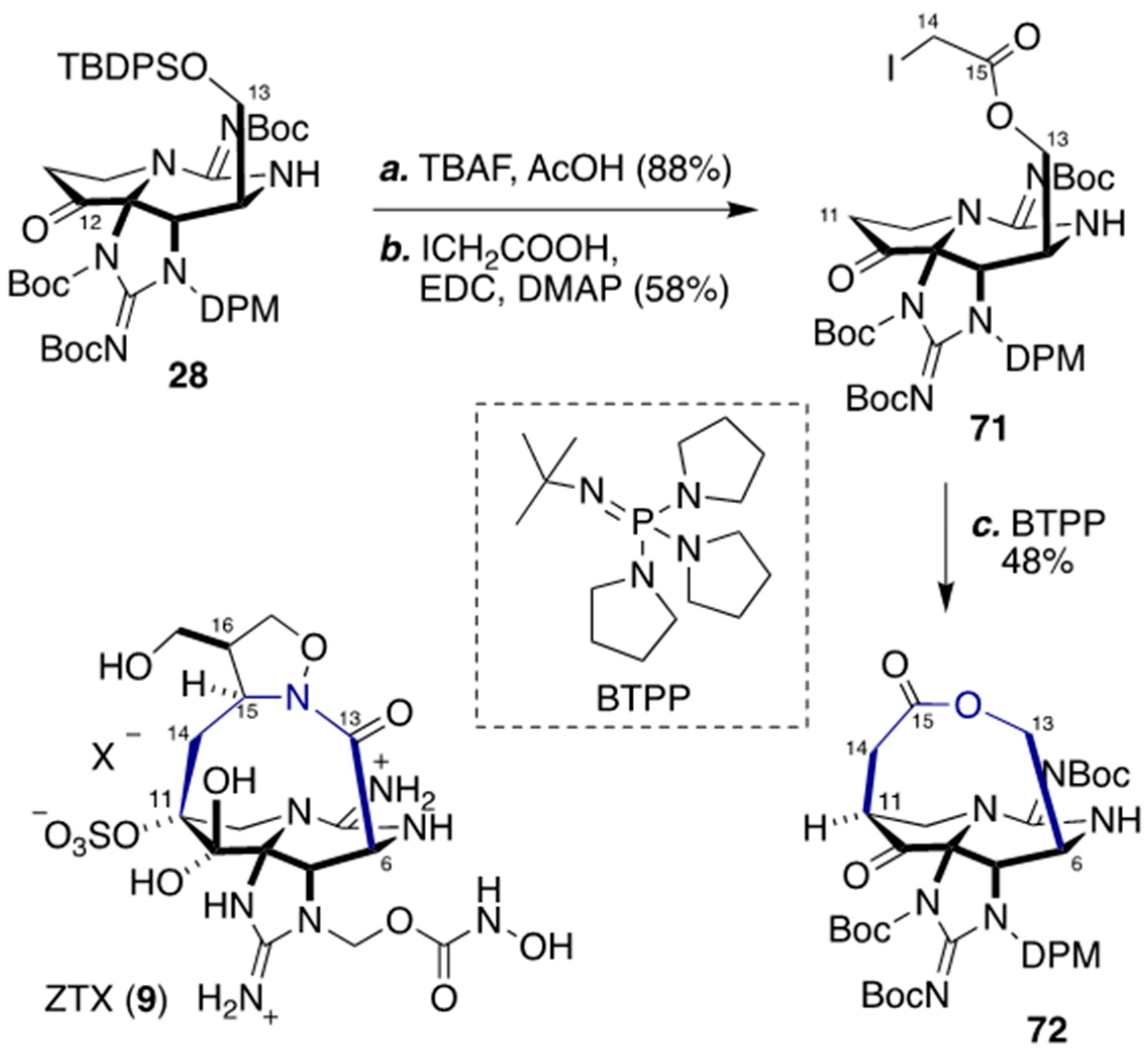 Marinedrugs 18 00024 sch008 Marinedrugs 18 00024 sch008