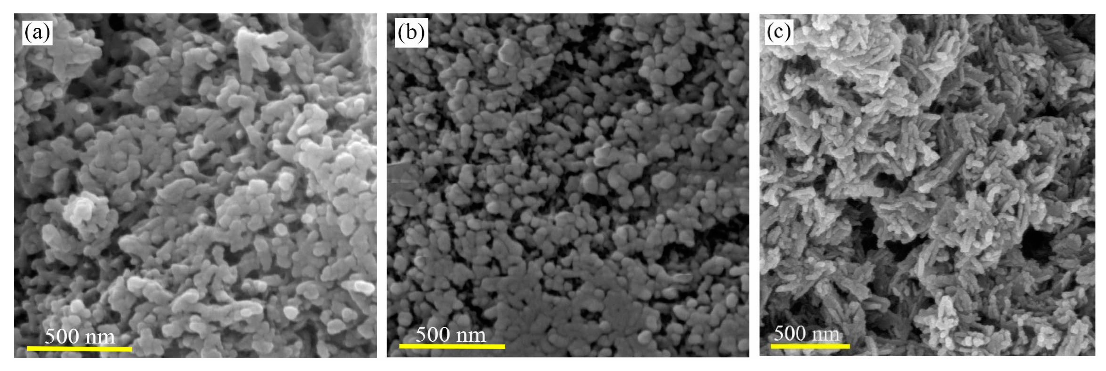 Marinedrugs 18 00026 g002