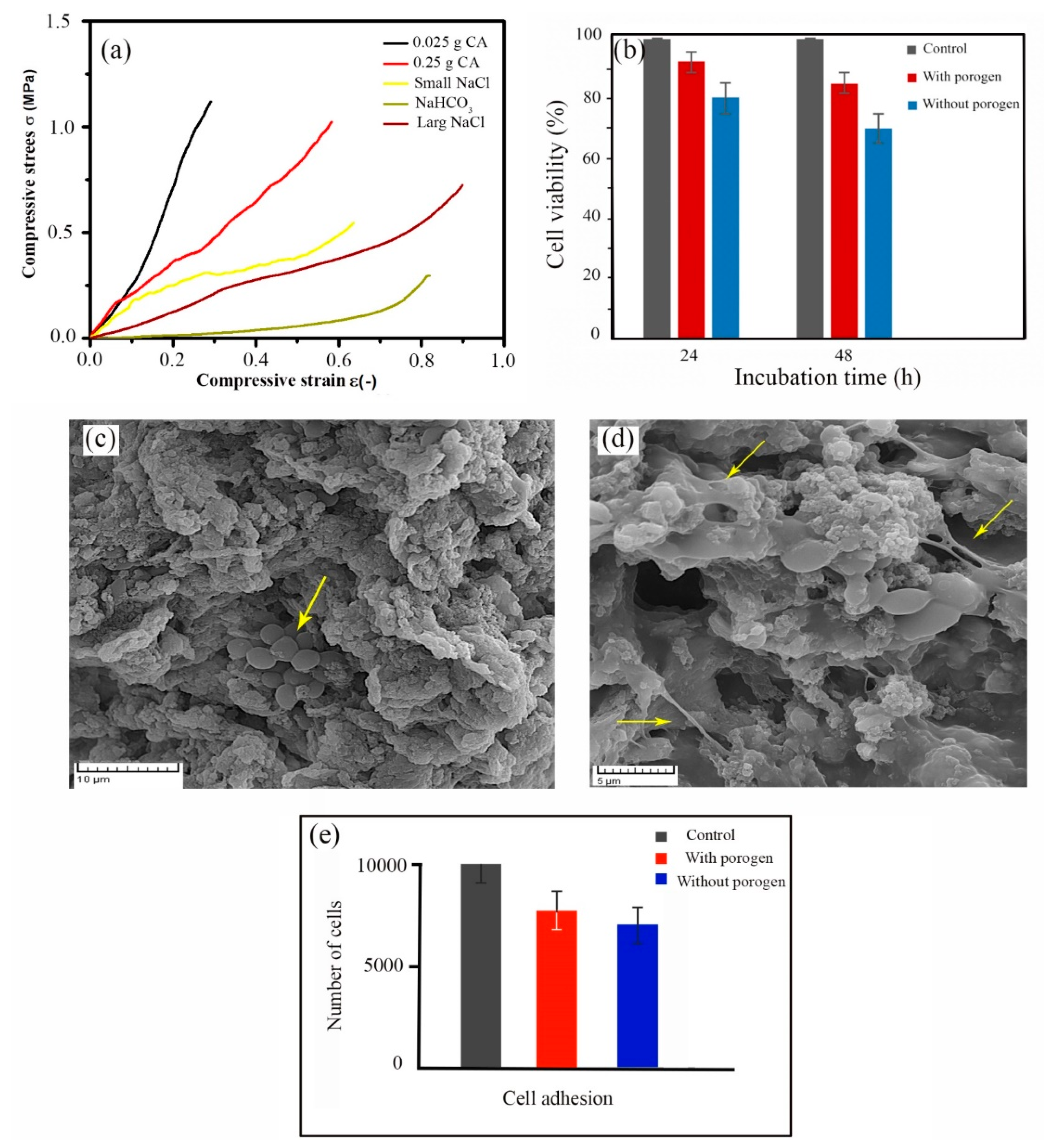 Marinedrugs 18 00026 g006