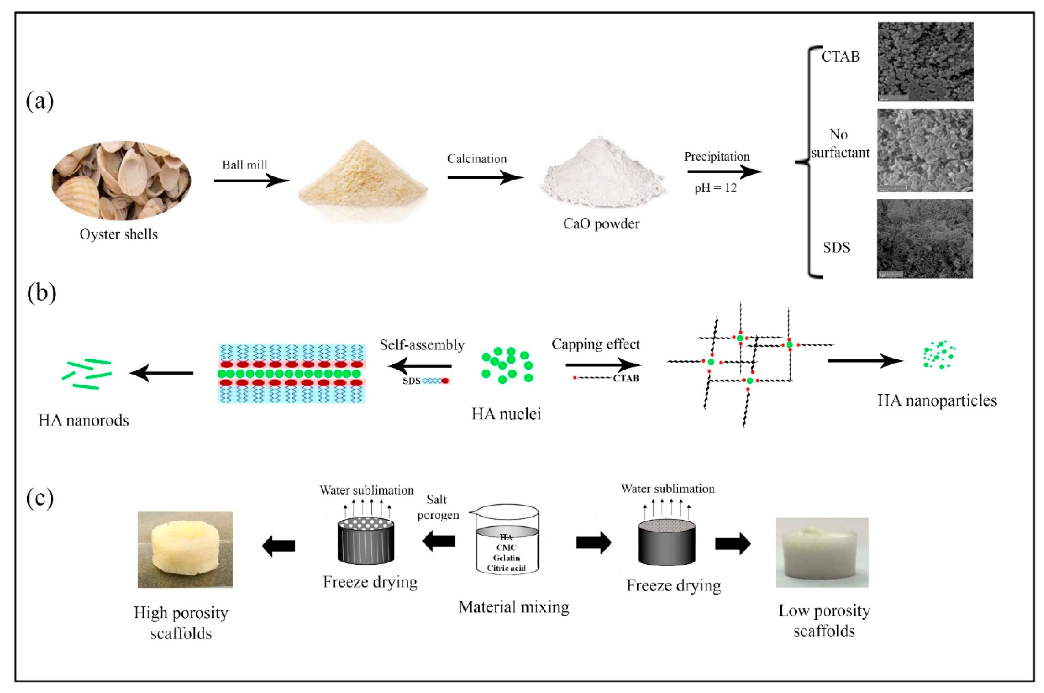 Marinedrugs 18 00026 g007