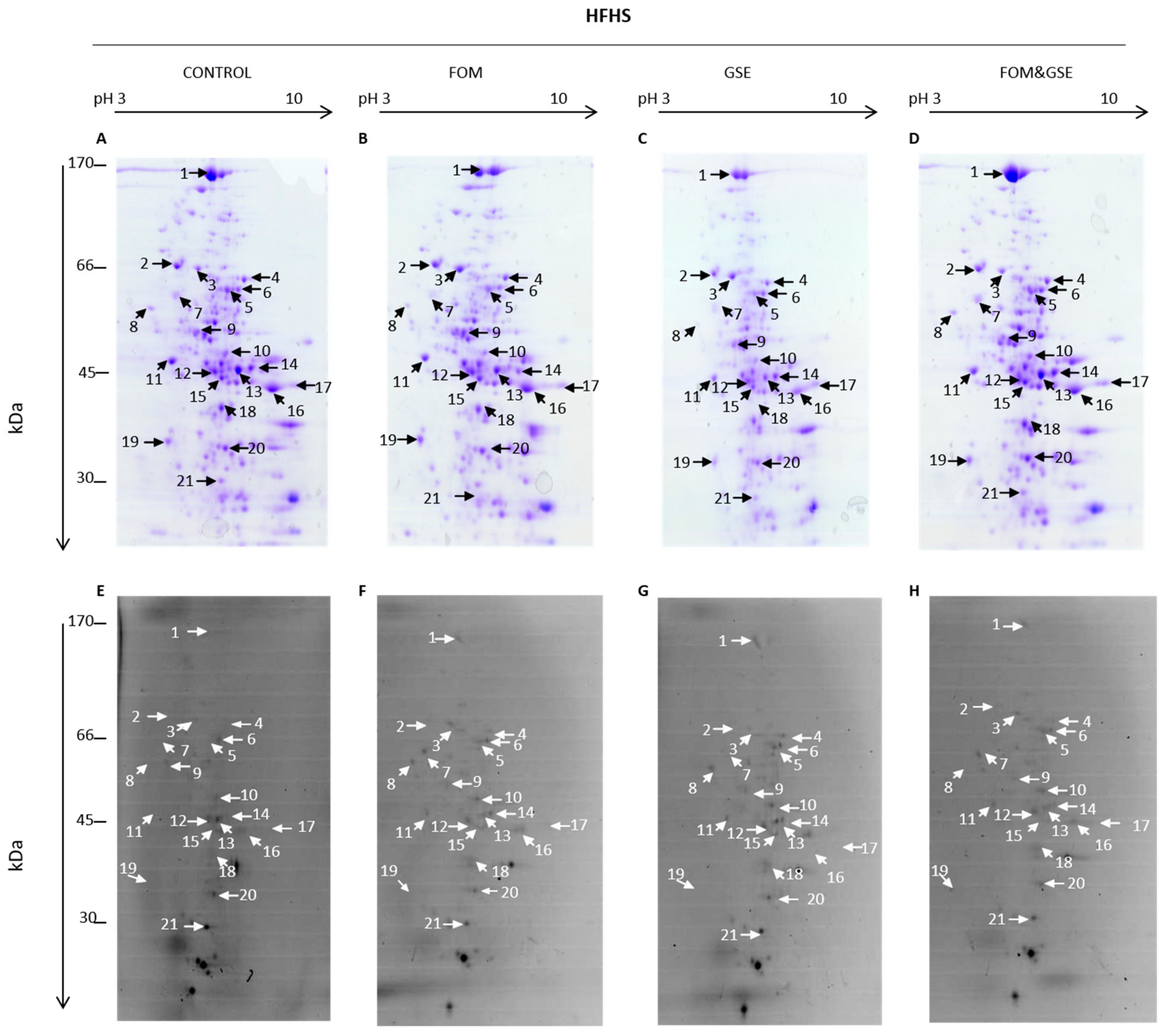 Marinedrugs 18 00034 g005