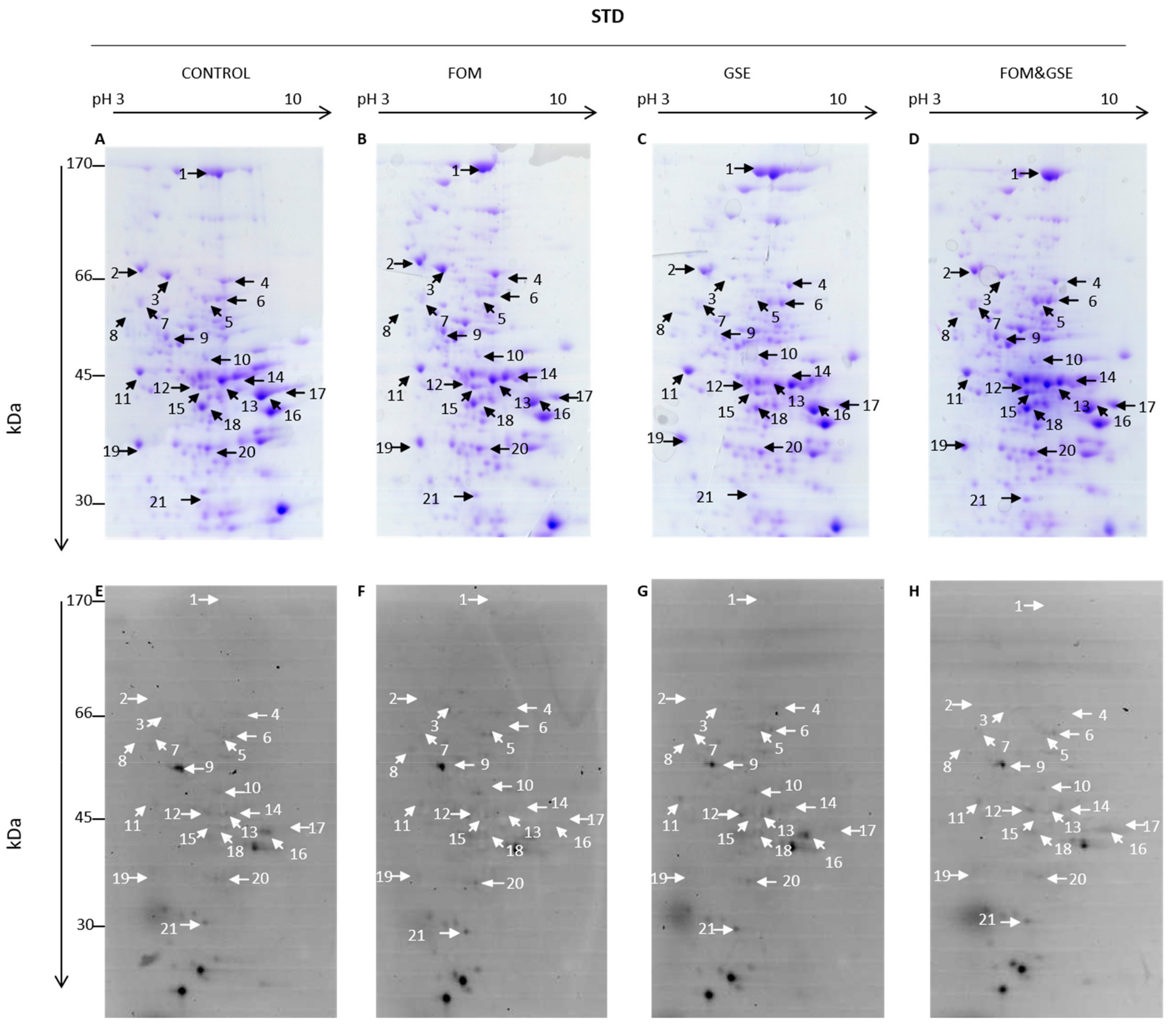 Marinedrugs 18 00034 g006